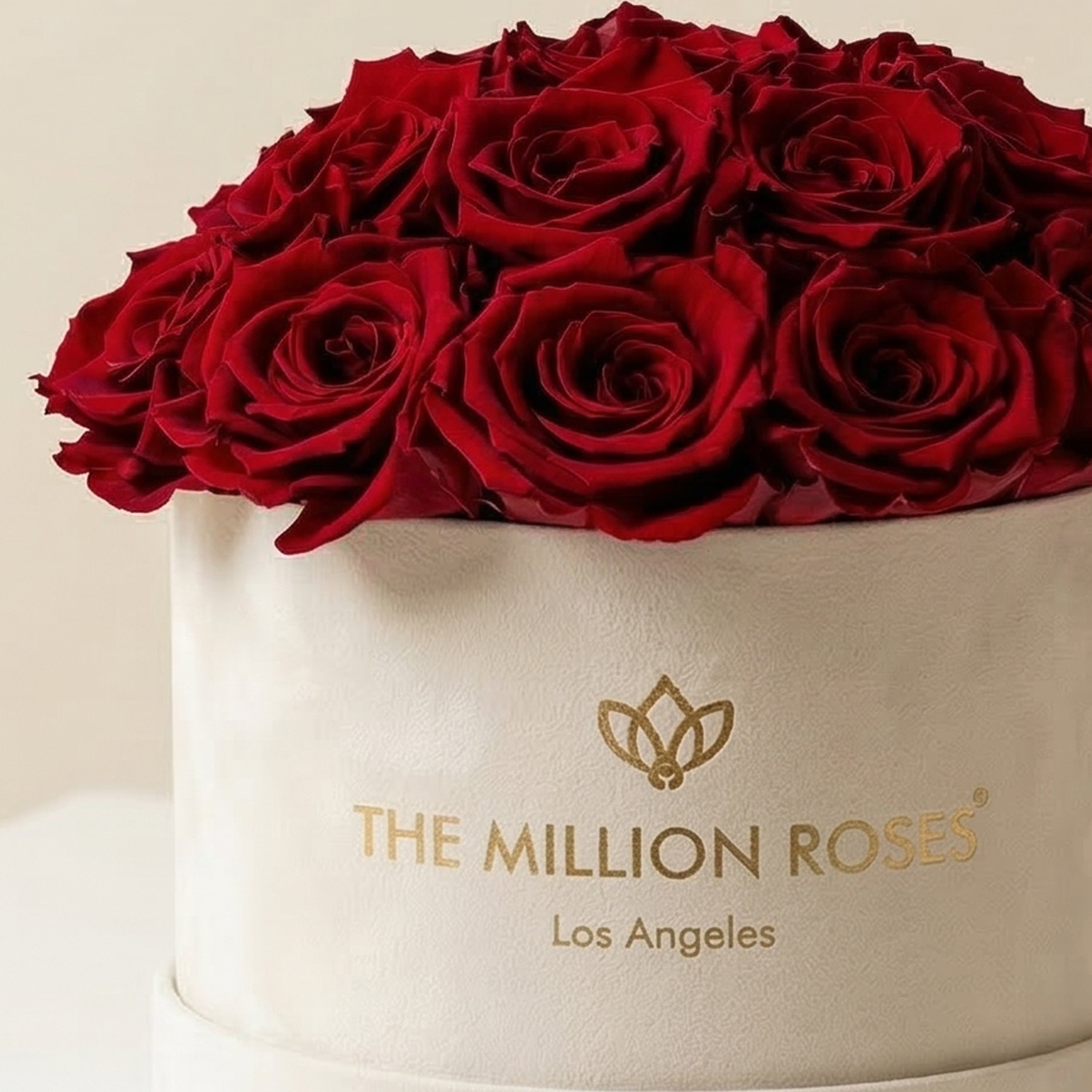 Effortless Valentine’s Day Planning: Thoughtful Steps to an Unforgettable Day