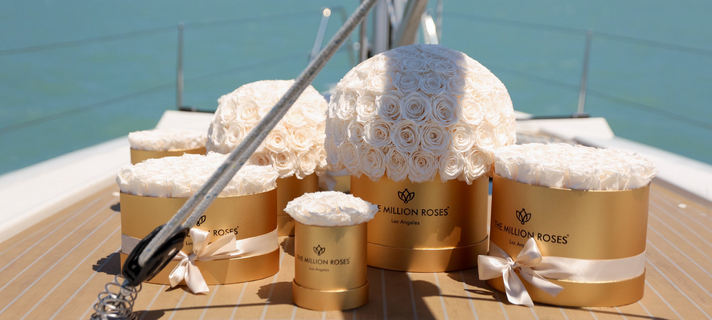 Golden days, golden roses