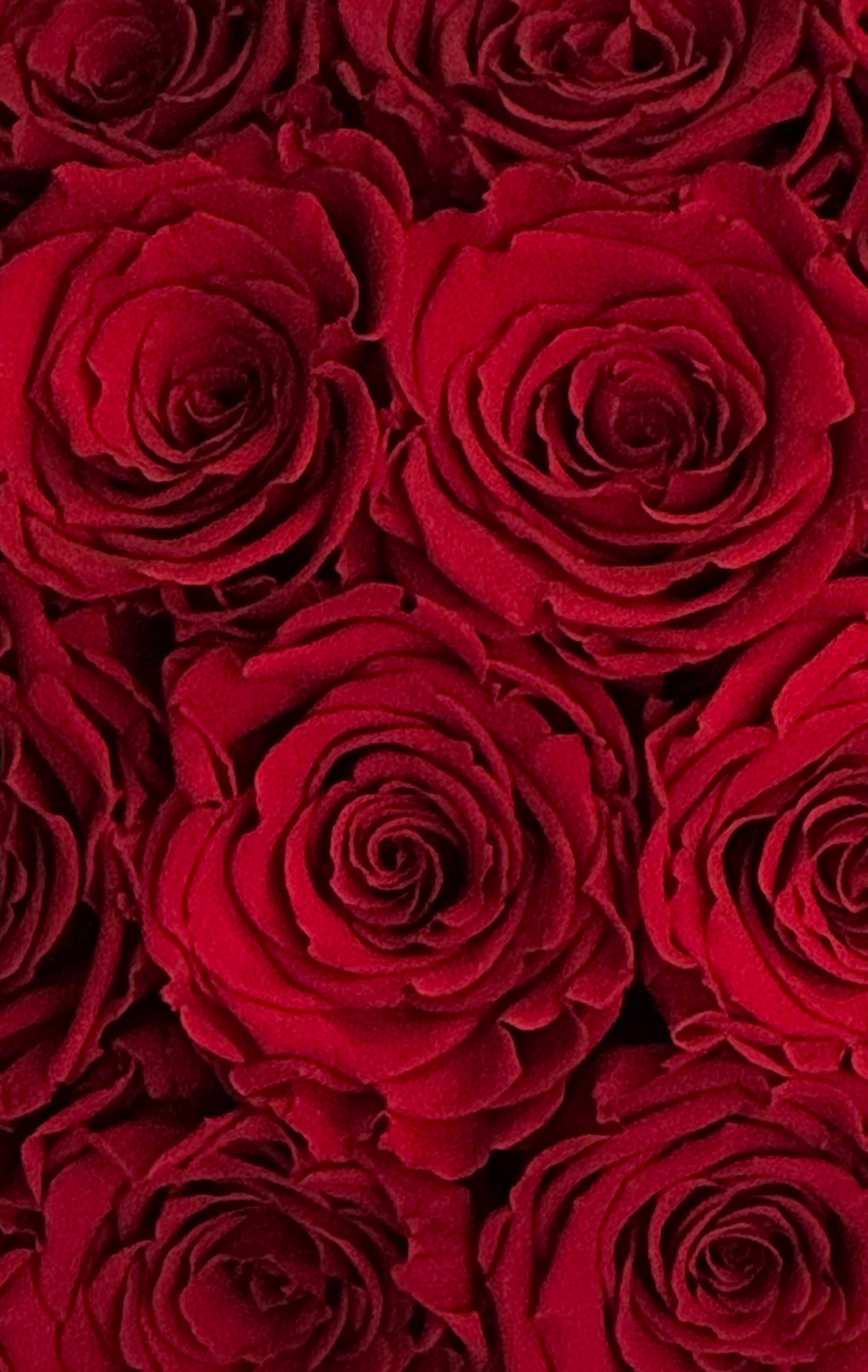 Proposal on Valentine's Day