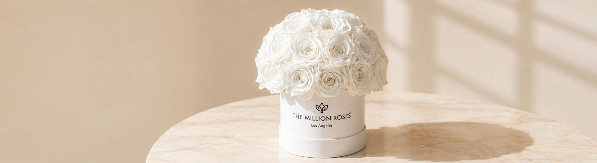 Happy women holding luxury long lasting white roses in their hands