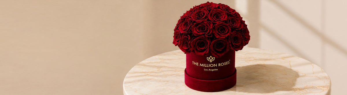 Burgundy Roses Collection
