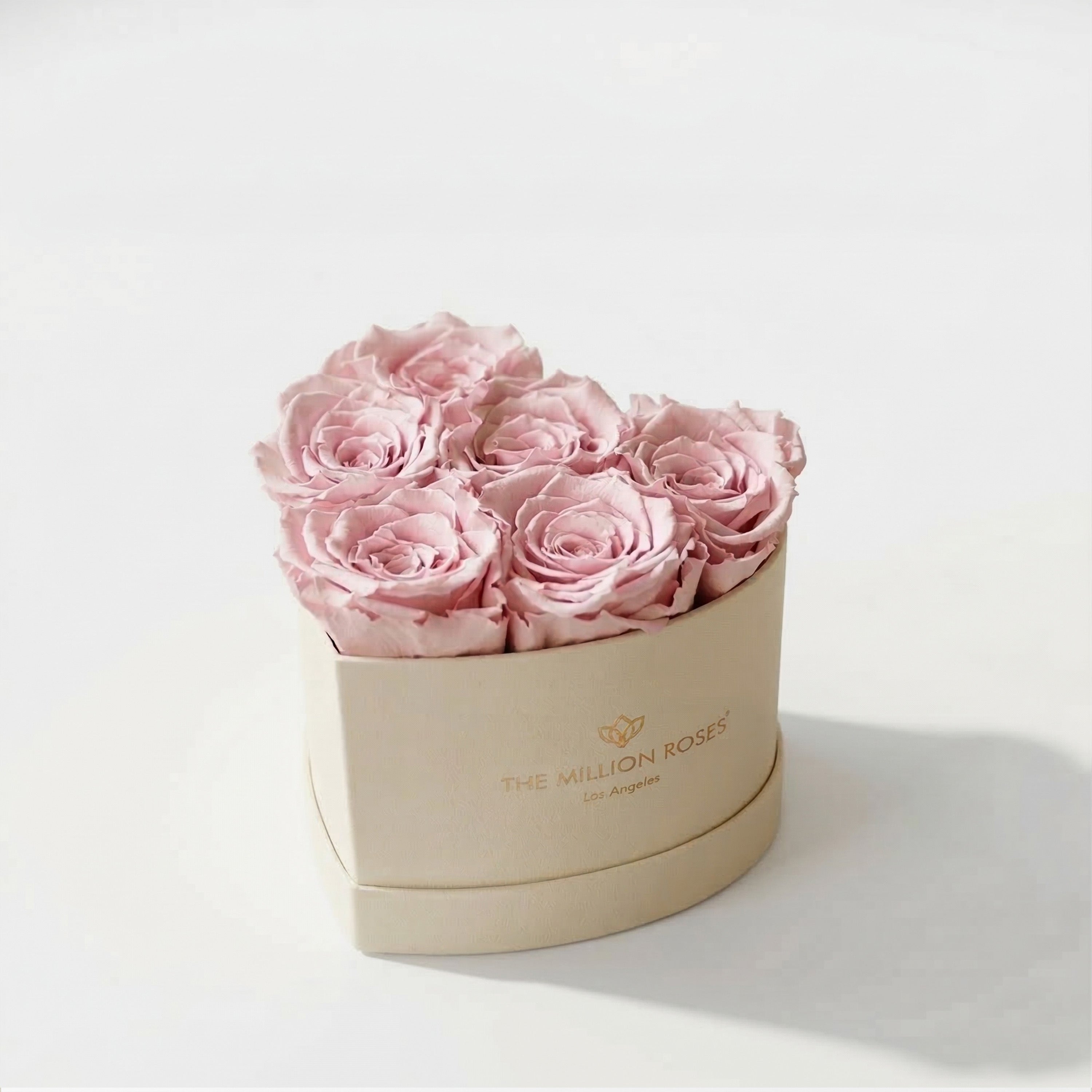Baby Heart Beige Box | Light Pink Roses