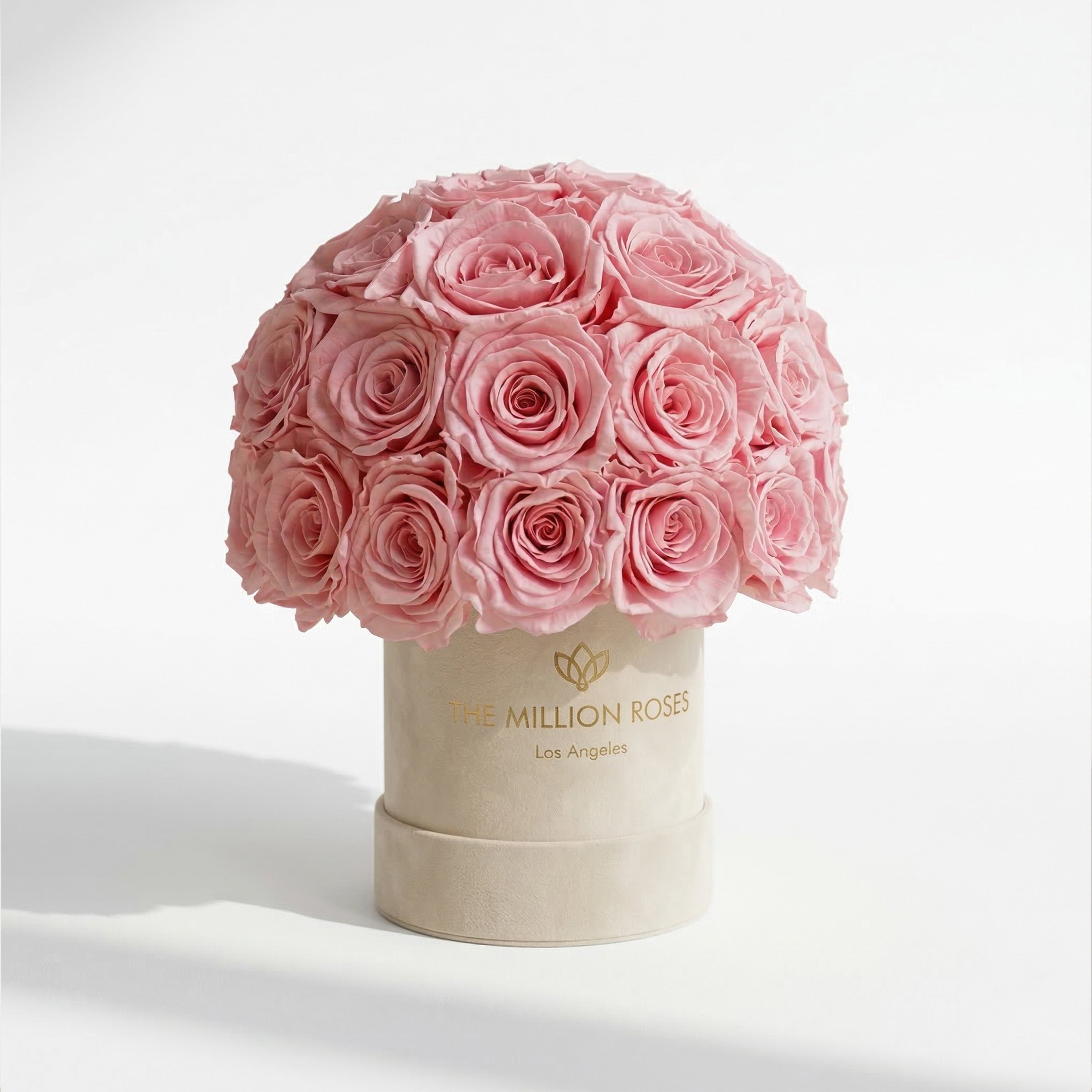 Basic Beige Suede Superdome Box | Light Pink Roses