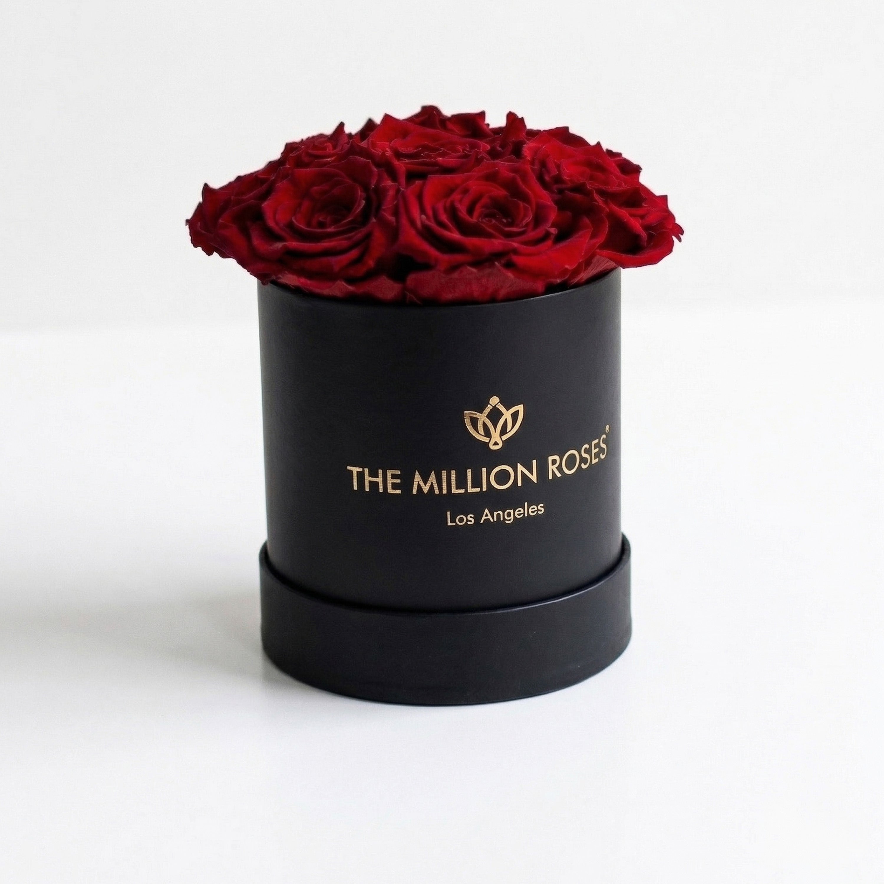 Boîte noire de base | Roses rouges