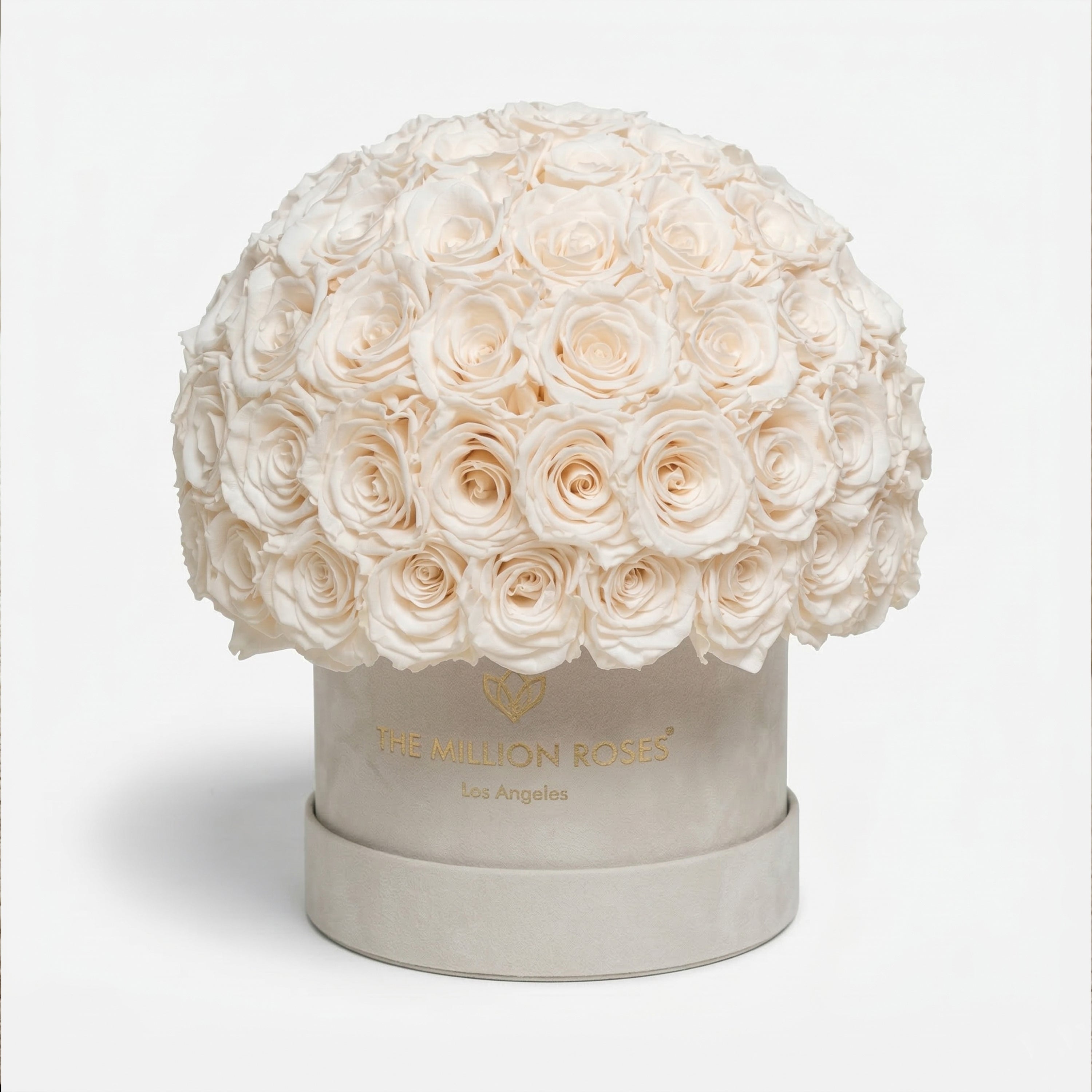 Classic Beige Suede Superdome Box | White Roses