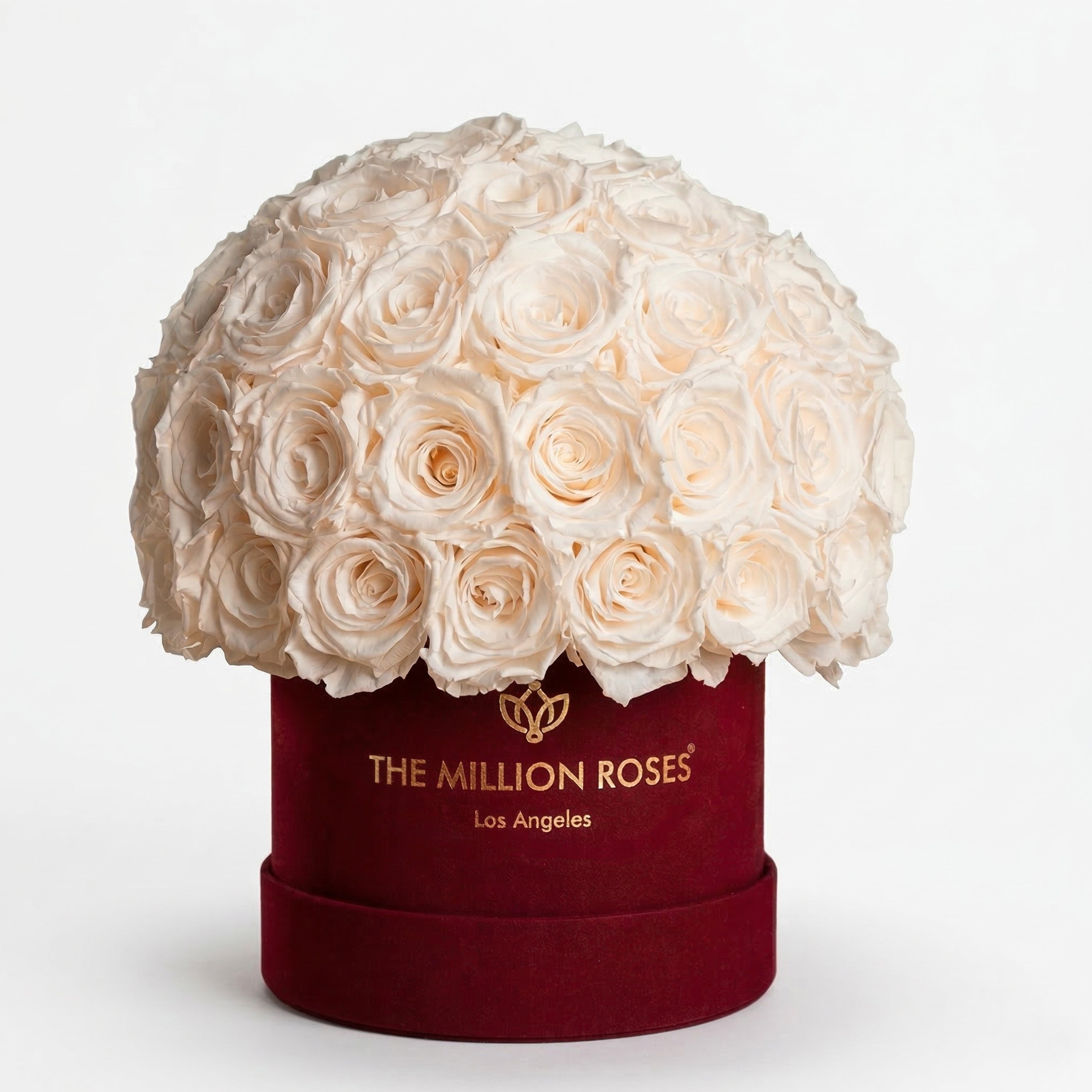 Classic Bordeaux Suede Superdome Box | White Roses