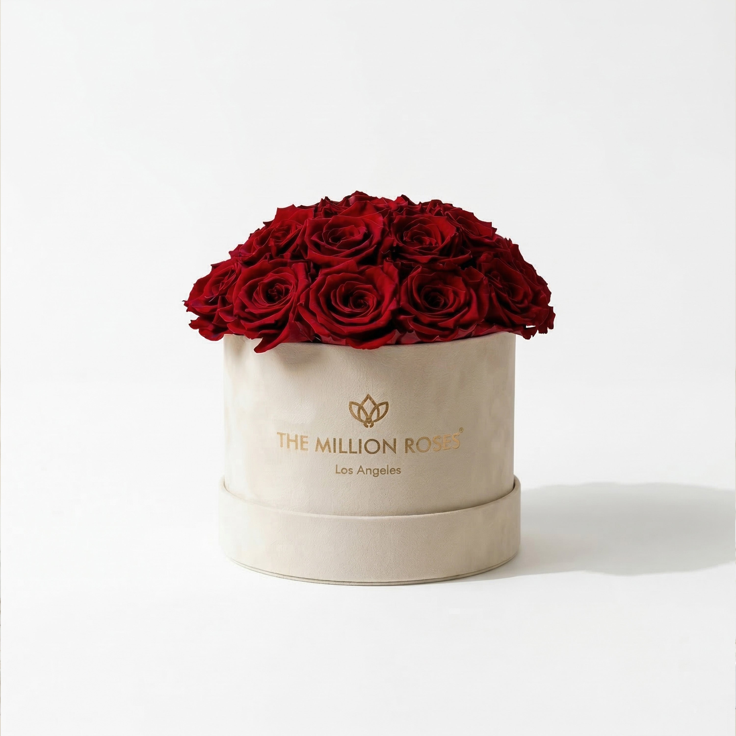 Classic Beige Suede Dome Box | Red Roses