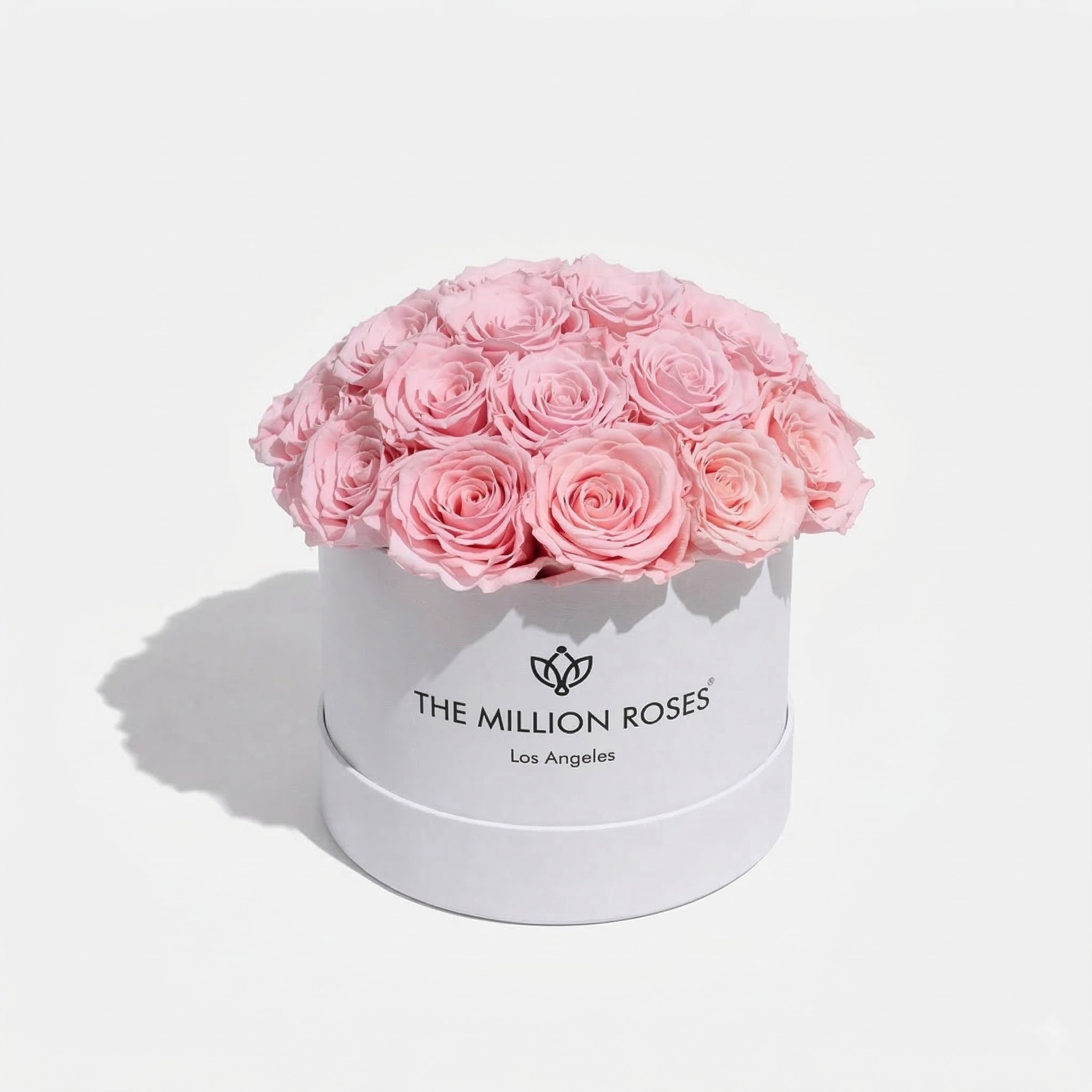 Classic White Dome Box | Light Pink Roses