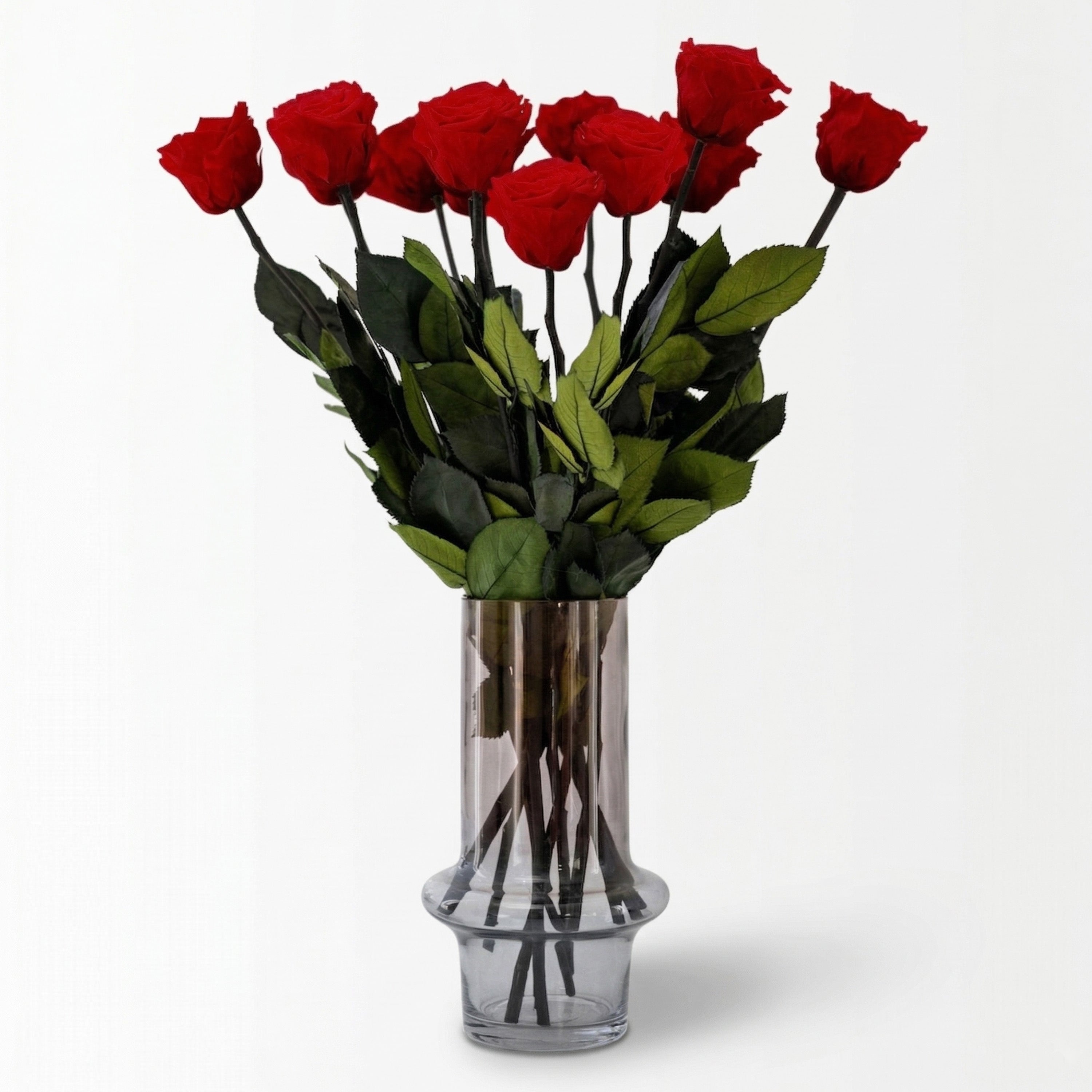 Roses à longue tige | Roses rouges