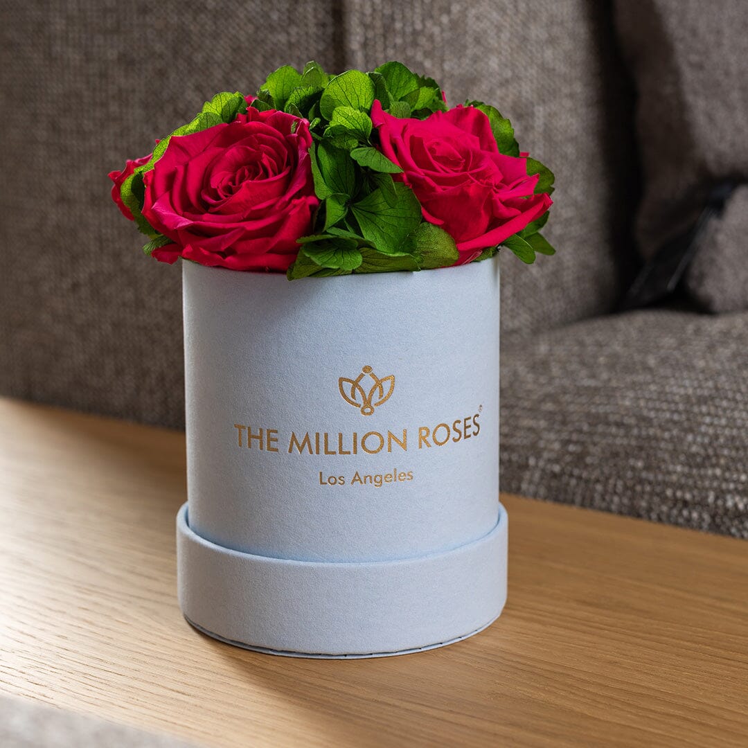 Caja de jardín básica de gamuza azul claro | Rosas rosadas fuertes