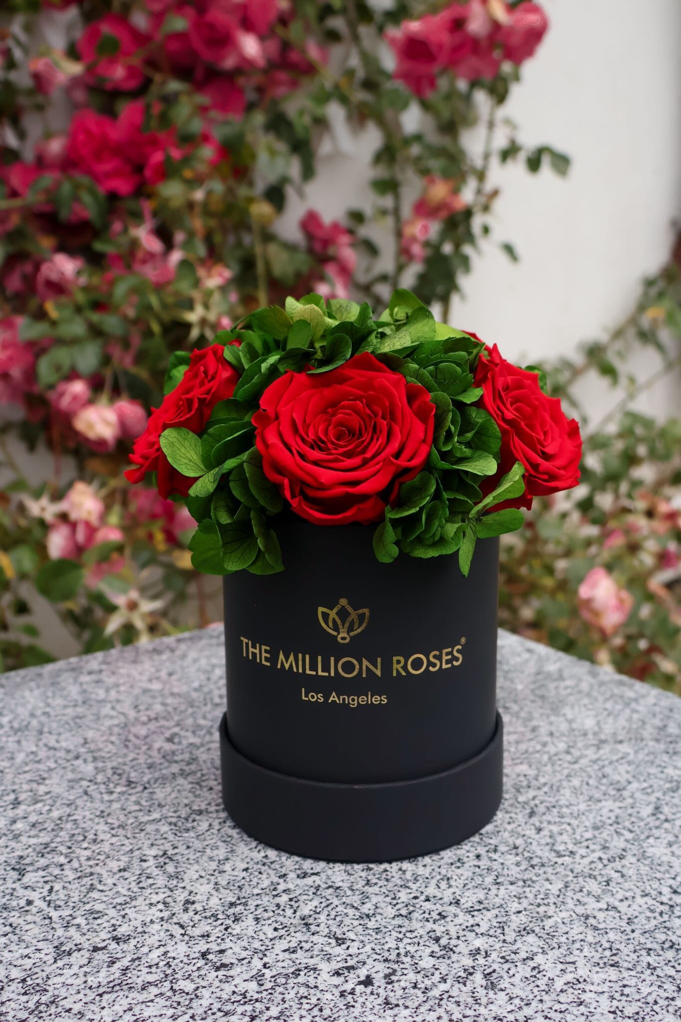 Boîte de jardin noire de base | Roses rouges