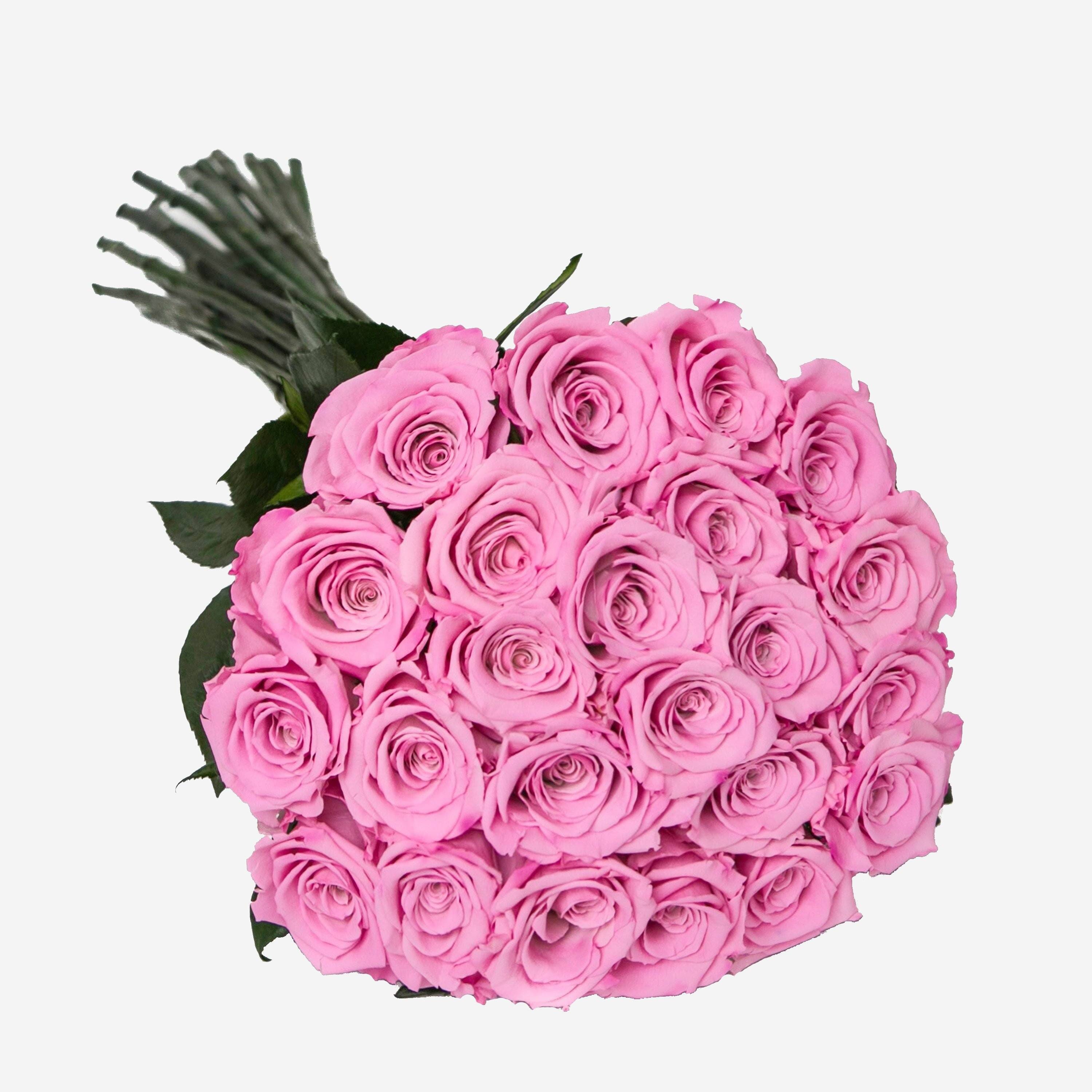 Long Stem Roses | Candy Pink Roses - The Million Roses