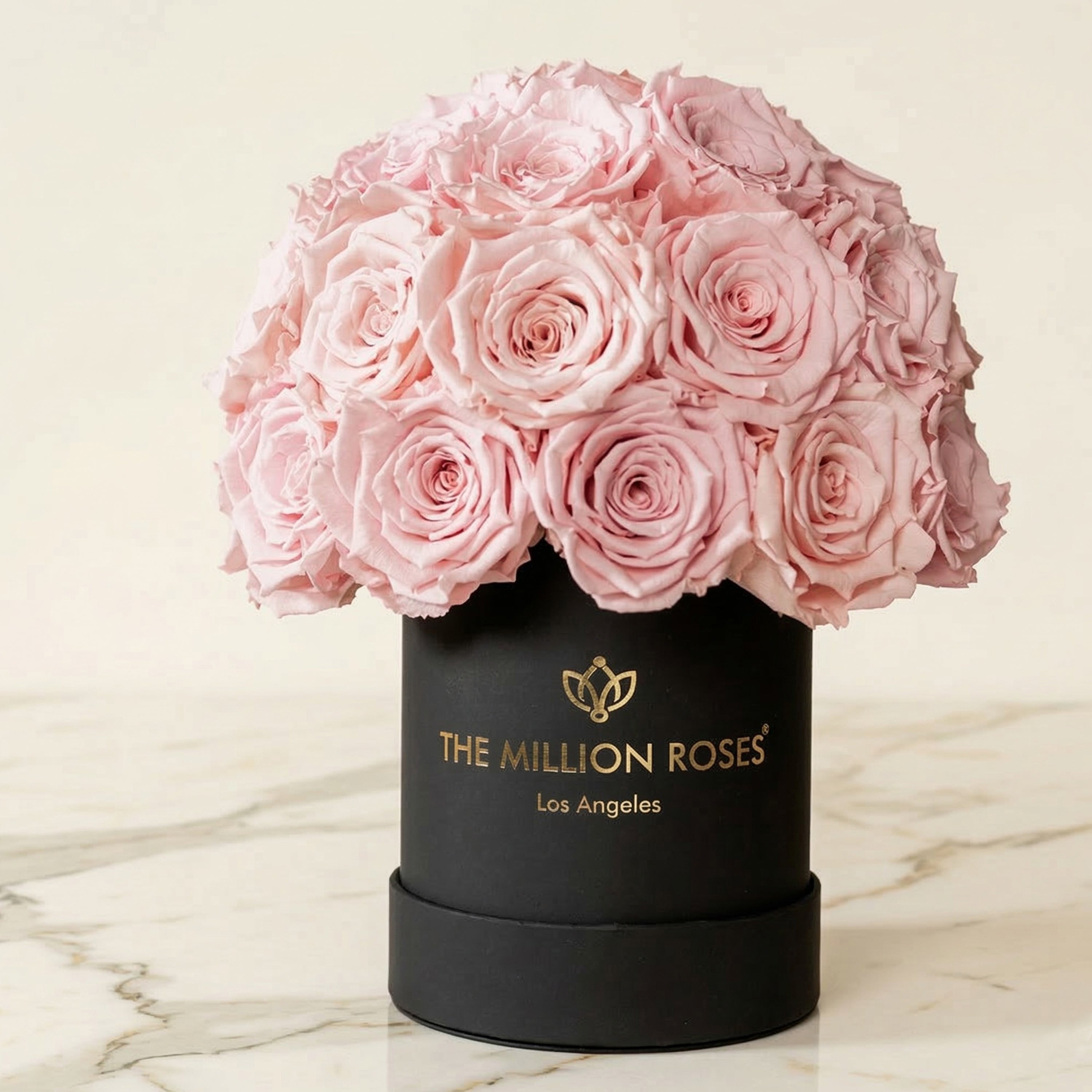 Basic Black Superdome Box | Light Pink Roses