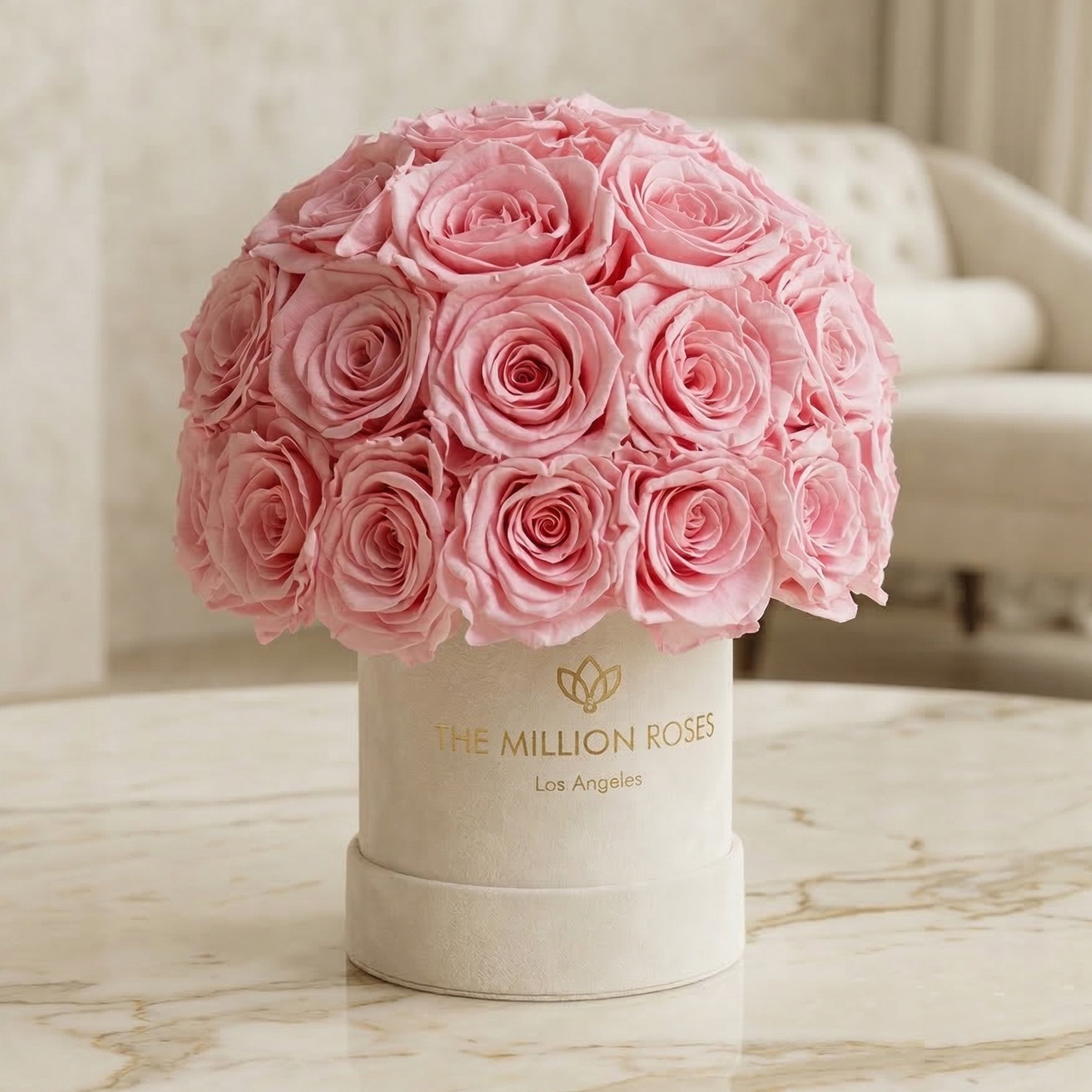 Basic Beige Suede Superdome Box | Light Pink Roses