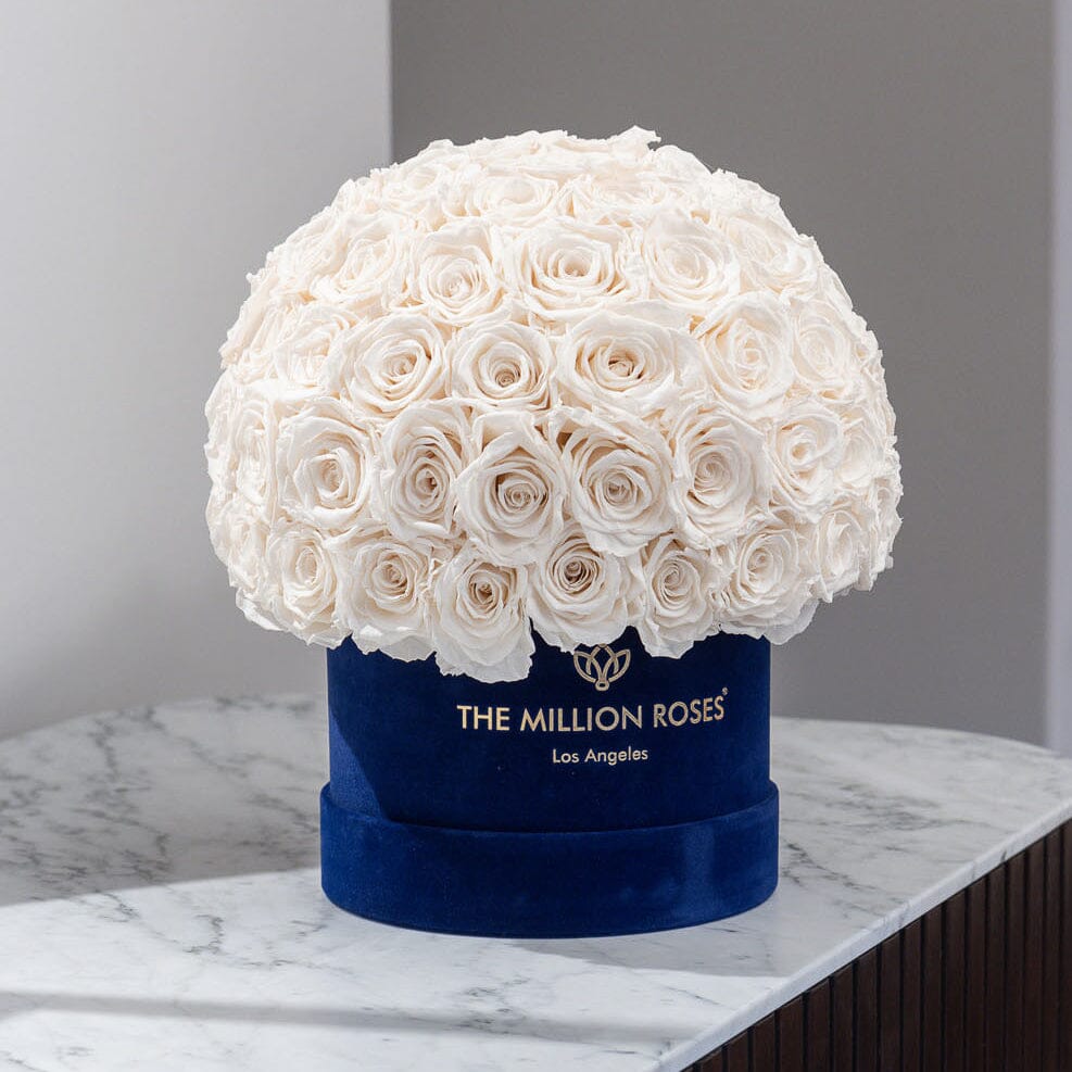 Boîte Superdome classique en daim bleu royal | Roses blanches