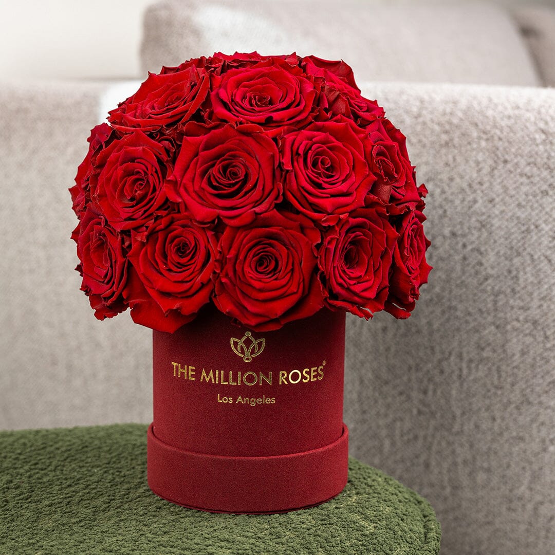 Basic Bordeaux Suede Superdome Box | Red Roses