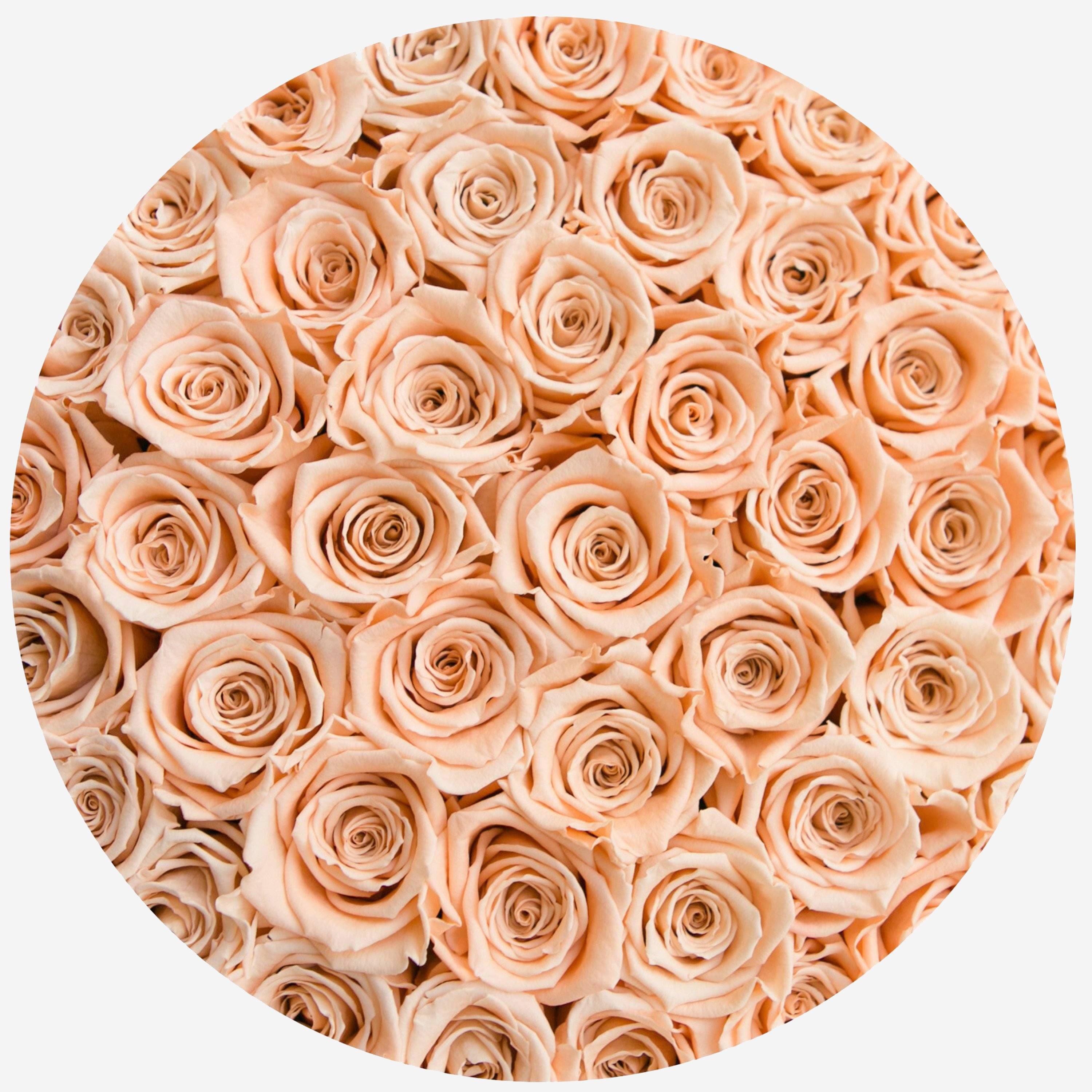 Supreme Black Box | Peach Roses - The Million Roses