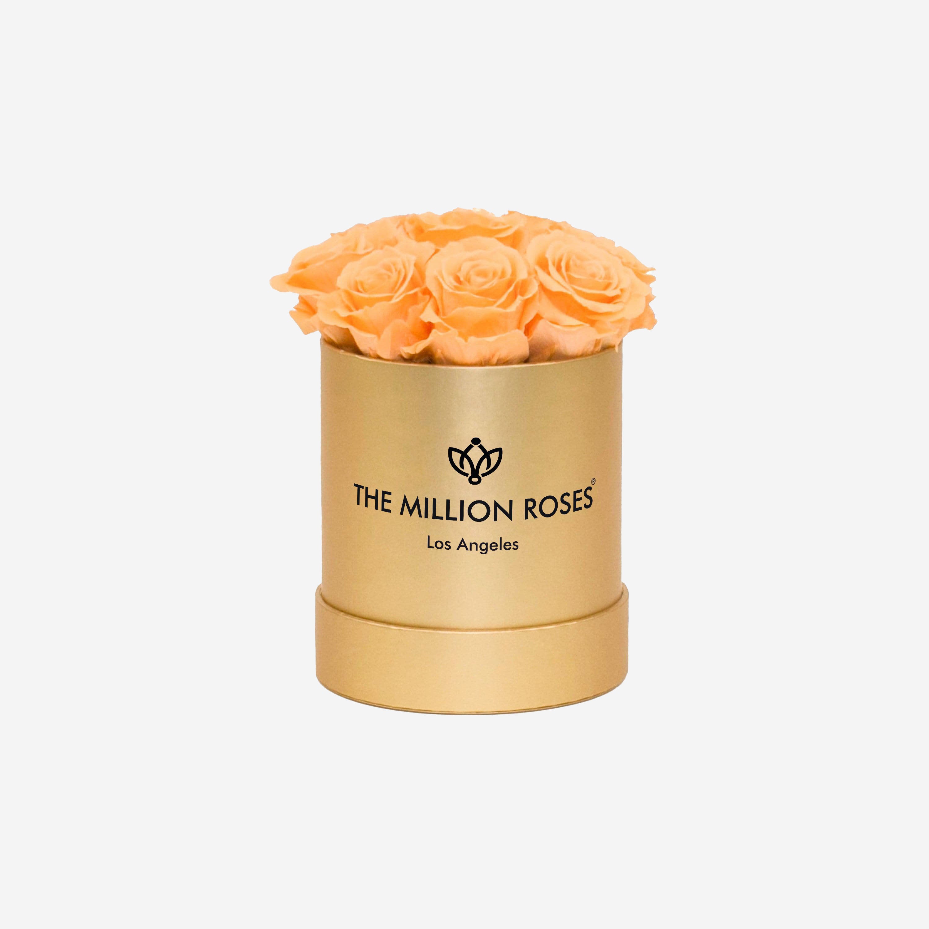 Basic Gold Box | Peach Roses - The Million Roses