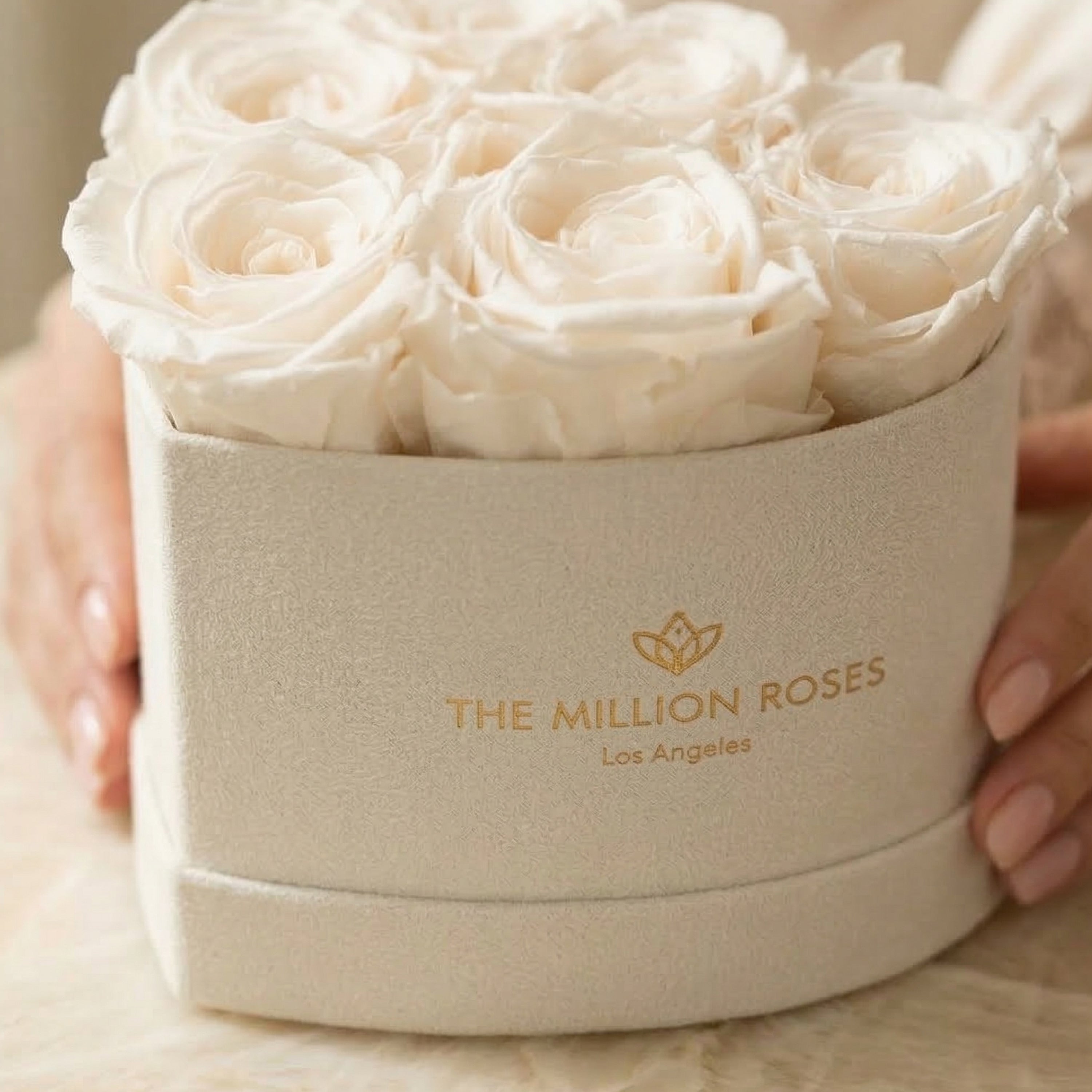 Baby Herz Beige Box | Weiße Rosen