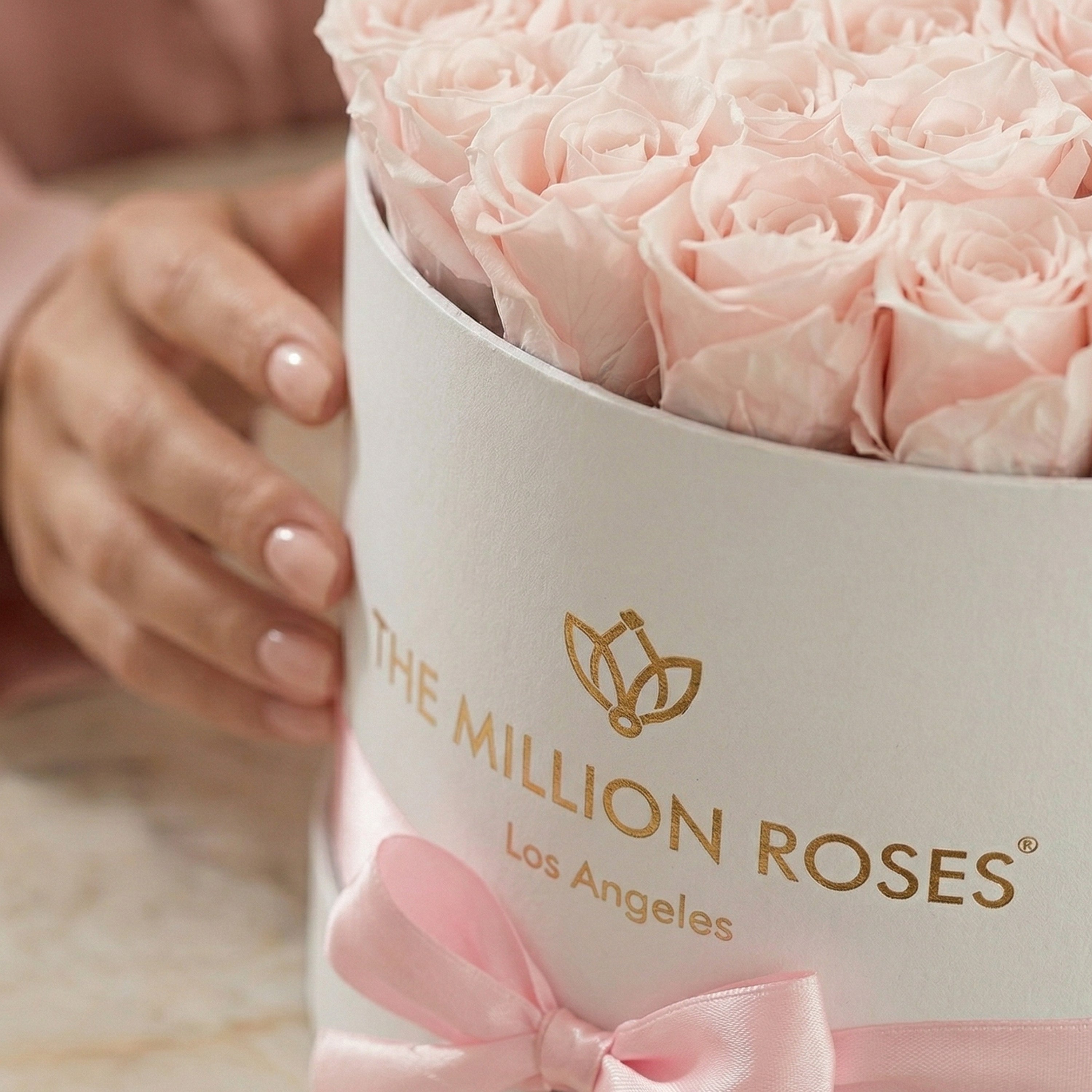 Scatola bianca suprema | Rose rosa chiaro