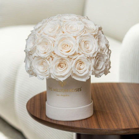 Basic Beige Suede Superdome Box | White Roses