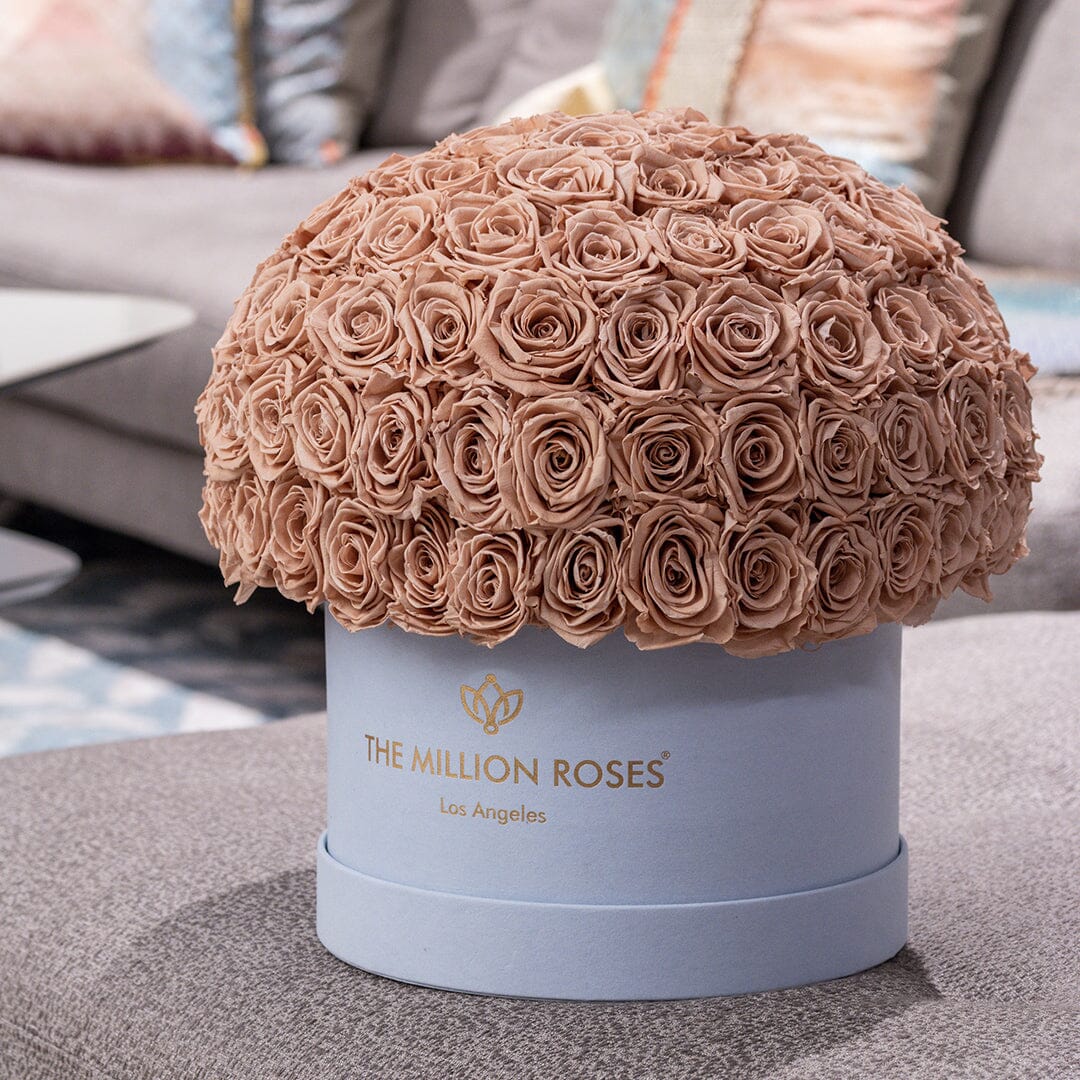 Boîte Superdome en daim bleu clair suprême | Roses de sable