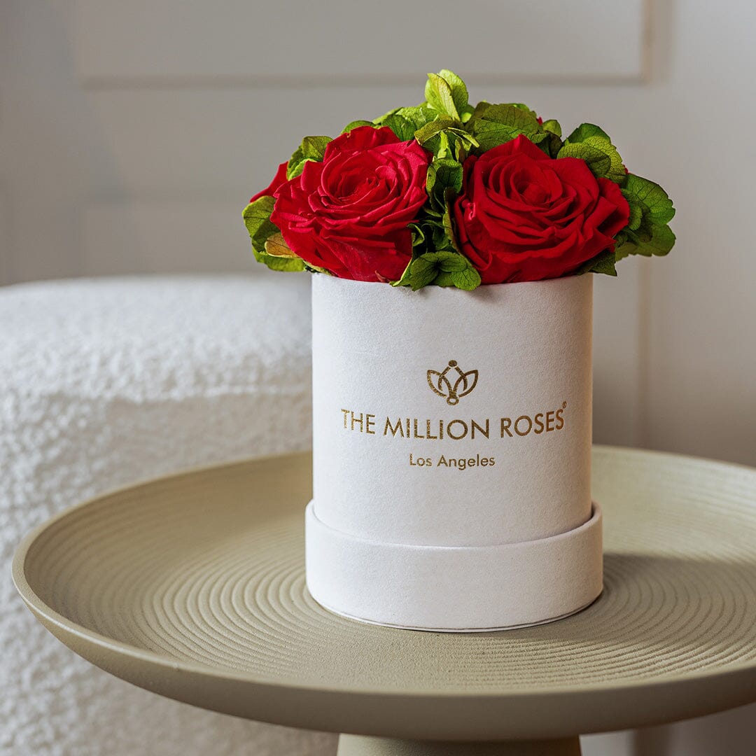 Boîte de jardin en daim beige de base | Roses rouges