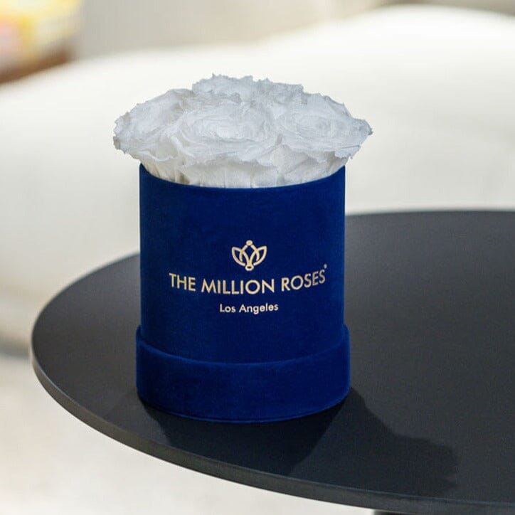Basic Royal Blue Box | White Roses