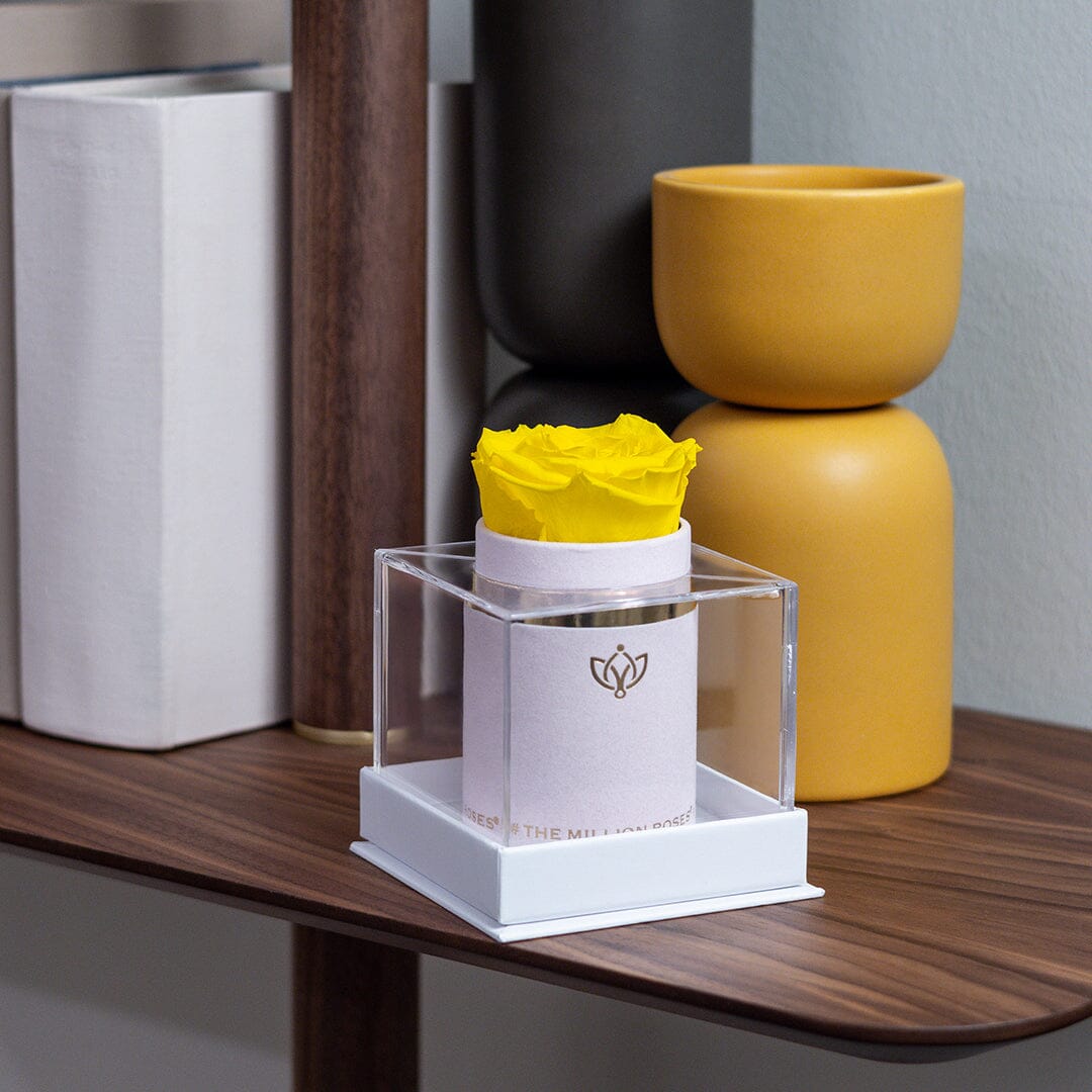 Boîte simple en daim blanc | Rose jaune