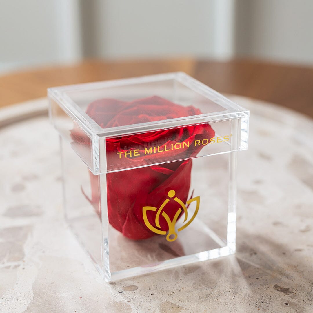 Acrylic Single Box | Red Rose