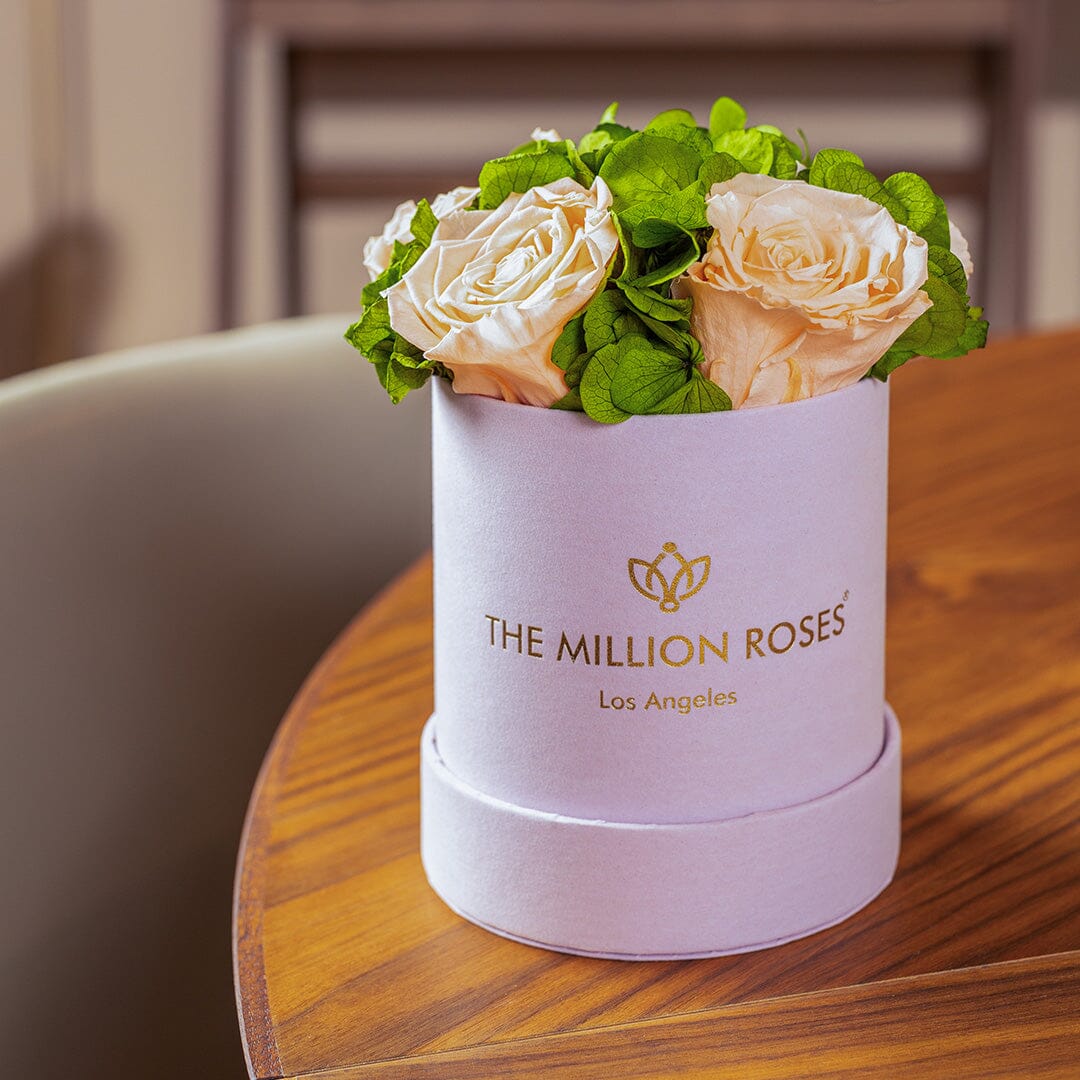 Caja de jardín básica de ante rosa claro | Rosas melocotón