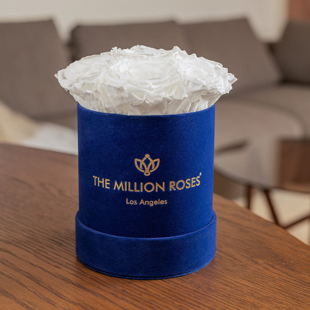 Scatola Blu Reale di base | Rose Bianche