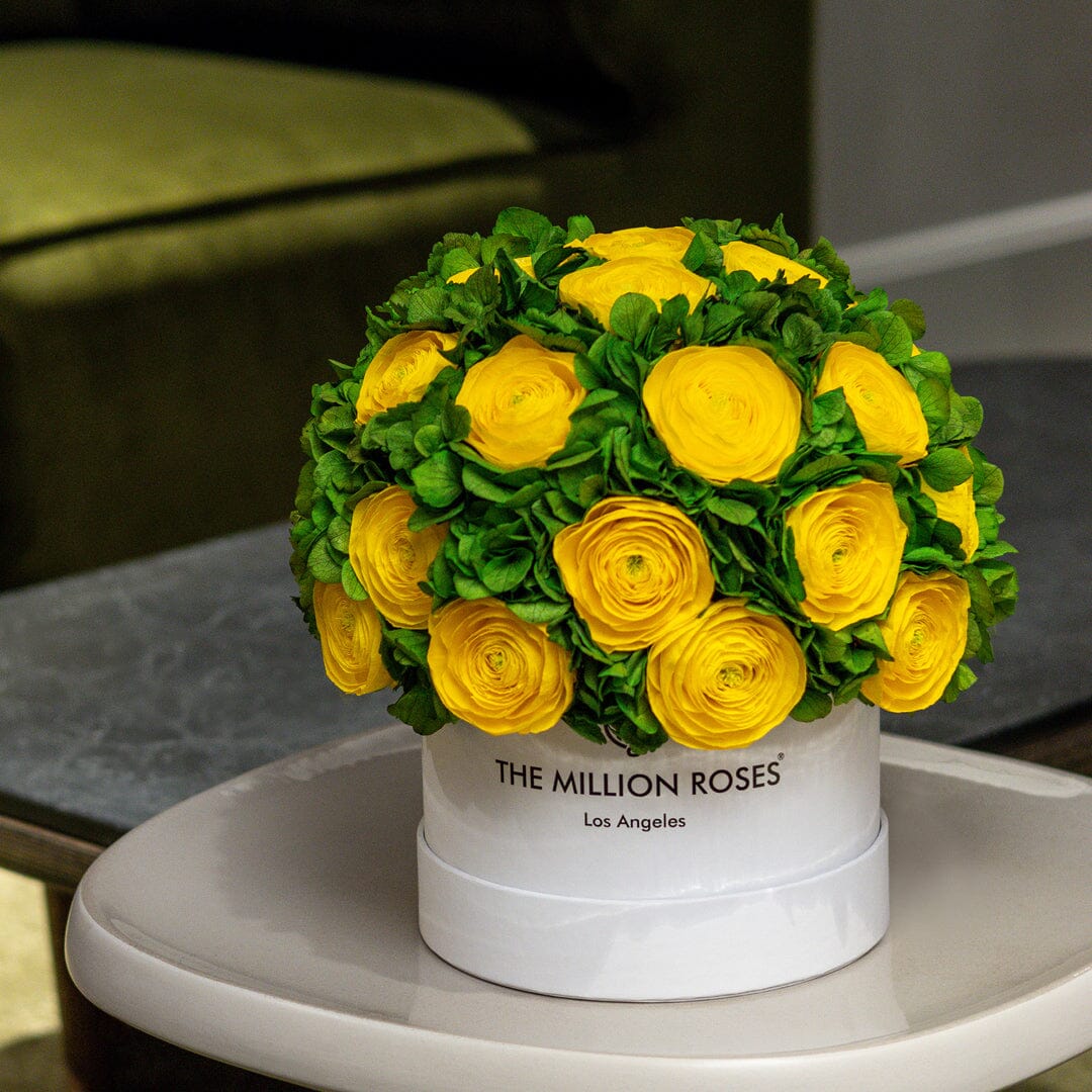 Boîte blanche classique | Renoncules de Perse jaunes et hortensias verts