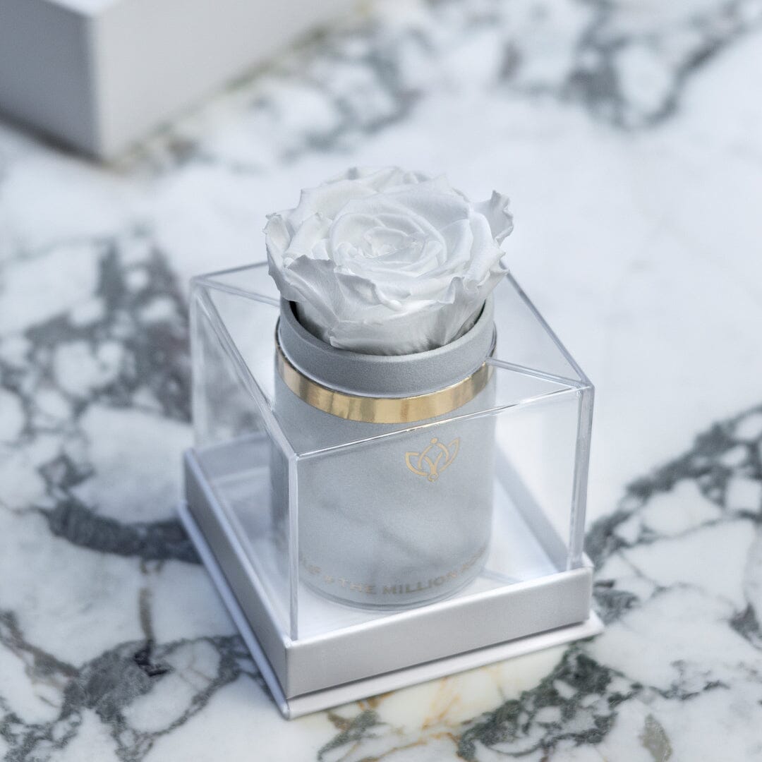 Boîte simple en daim blanc | Rose blanche