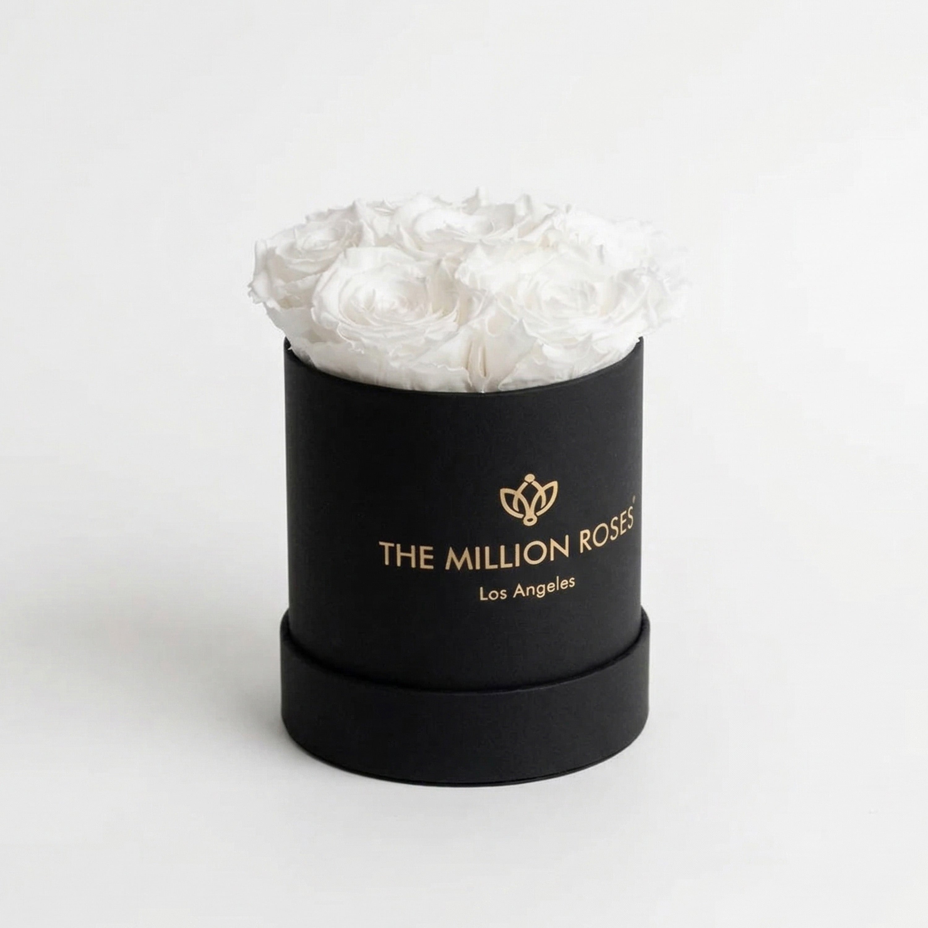 Scatola nera di base | Rose Bianche