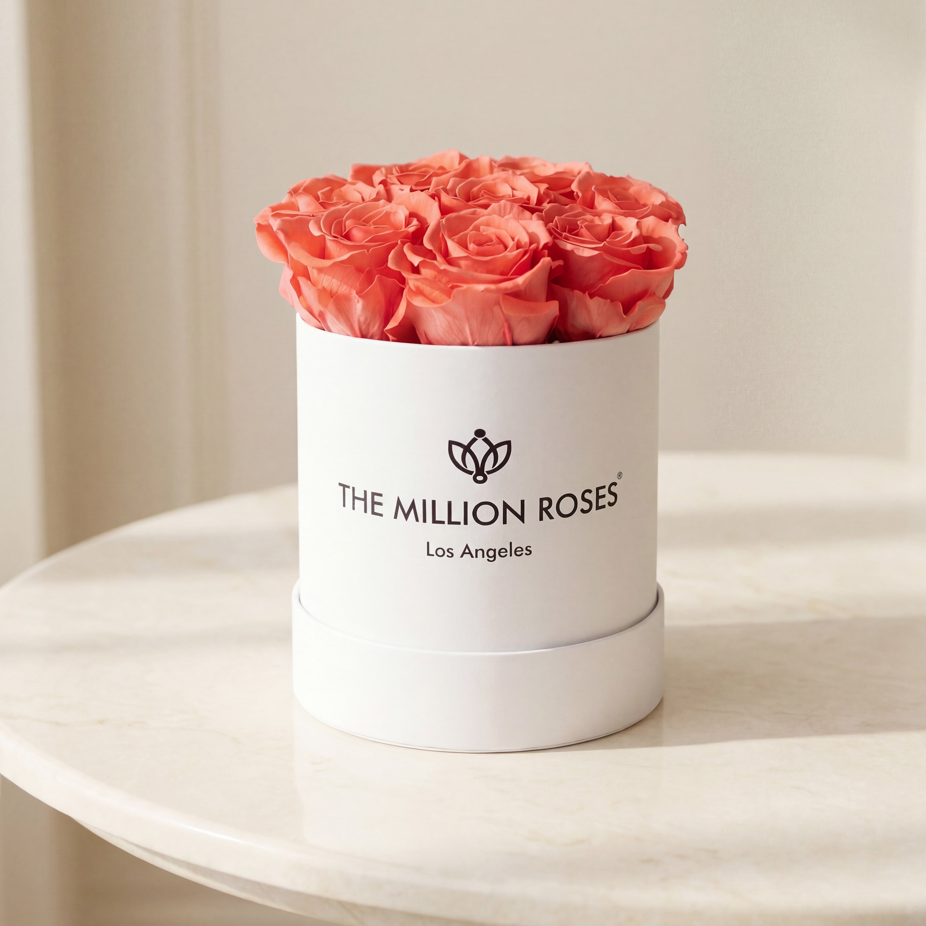 Basic White Box | Coral Roses