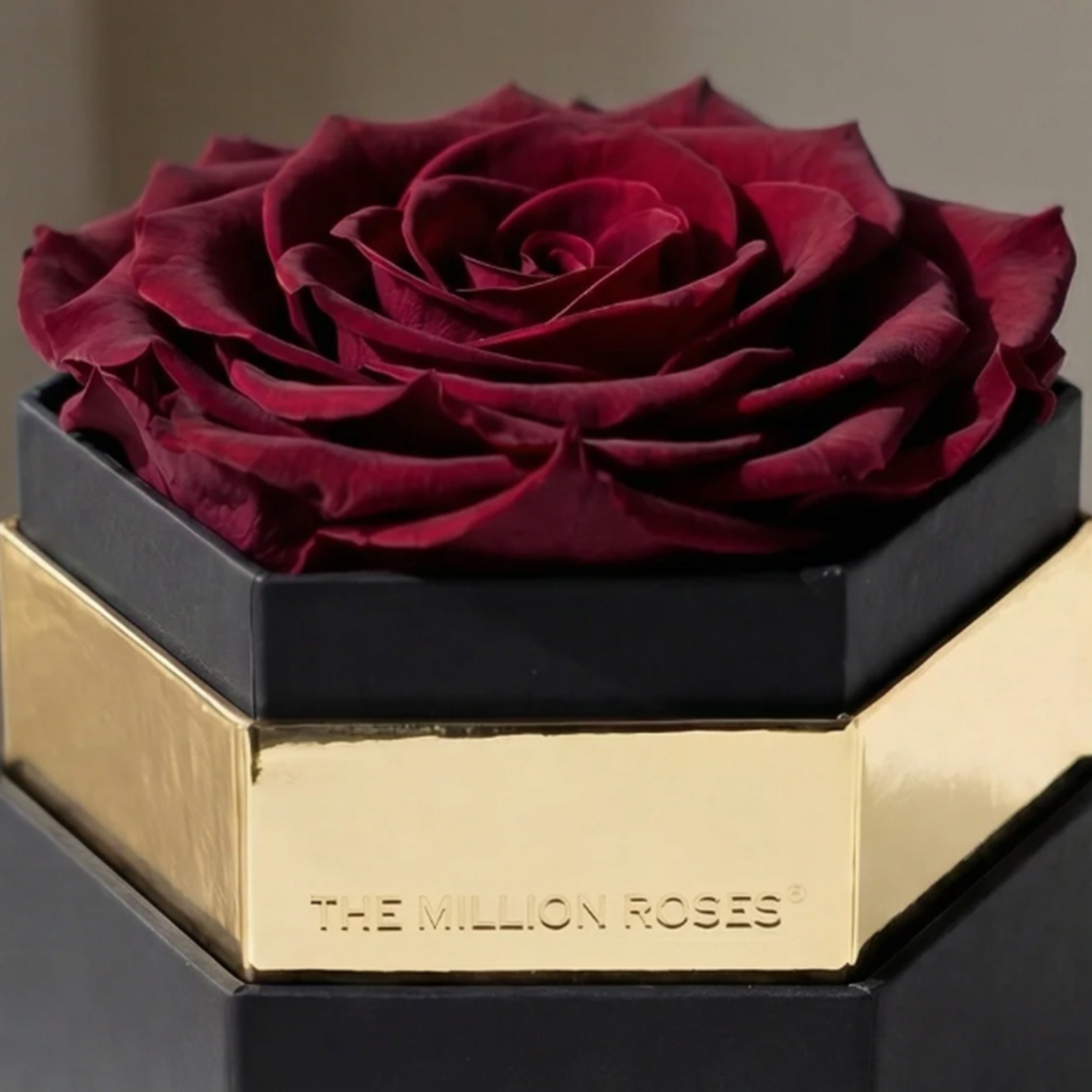 One in a Million™ Black Hexagon Box | Burgundy Rose