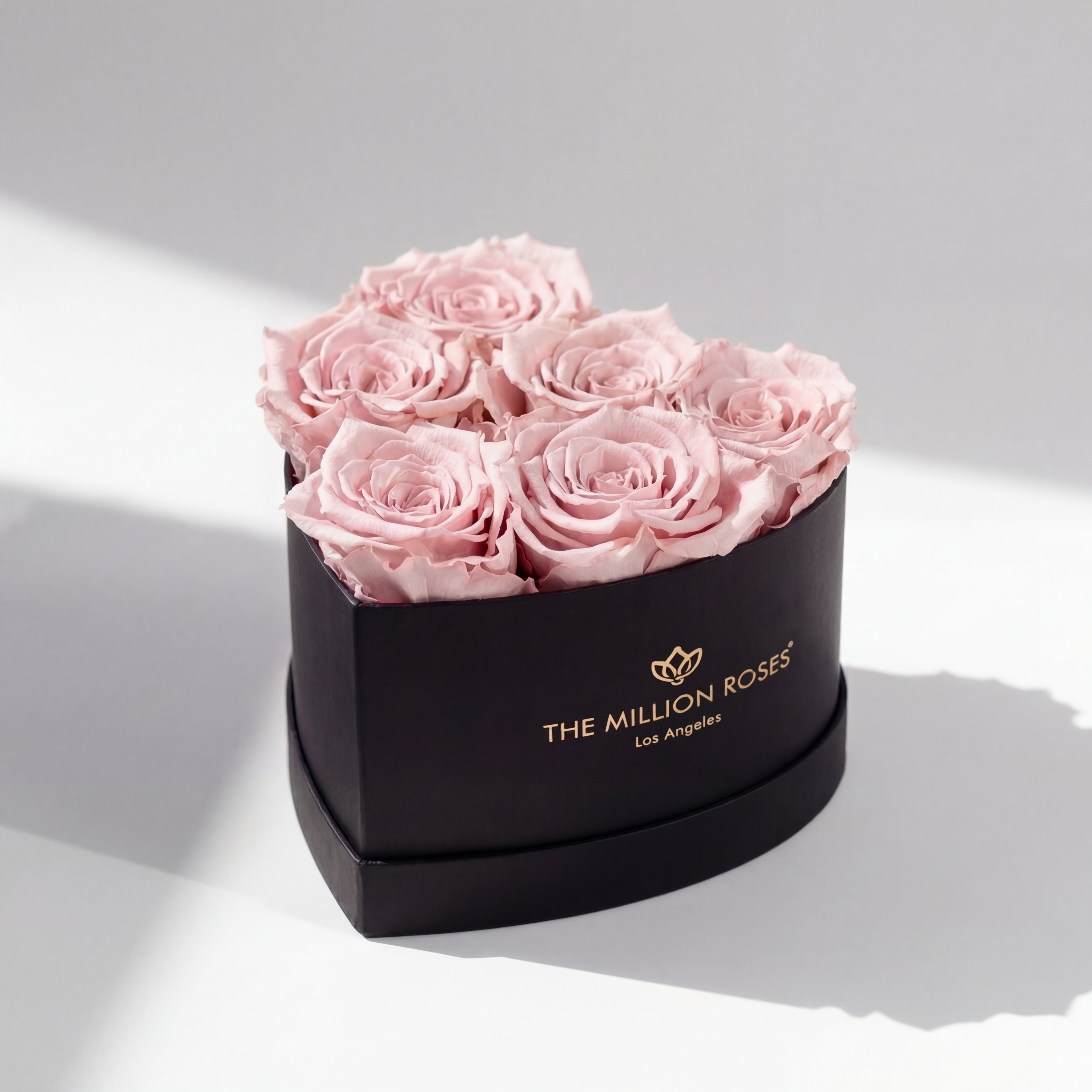Baby Heart Black Box | Light Pink Roses