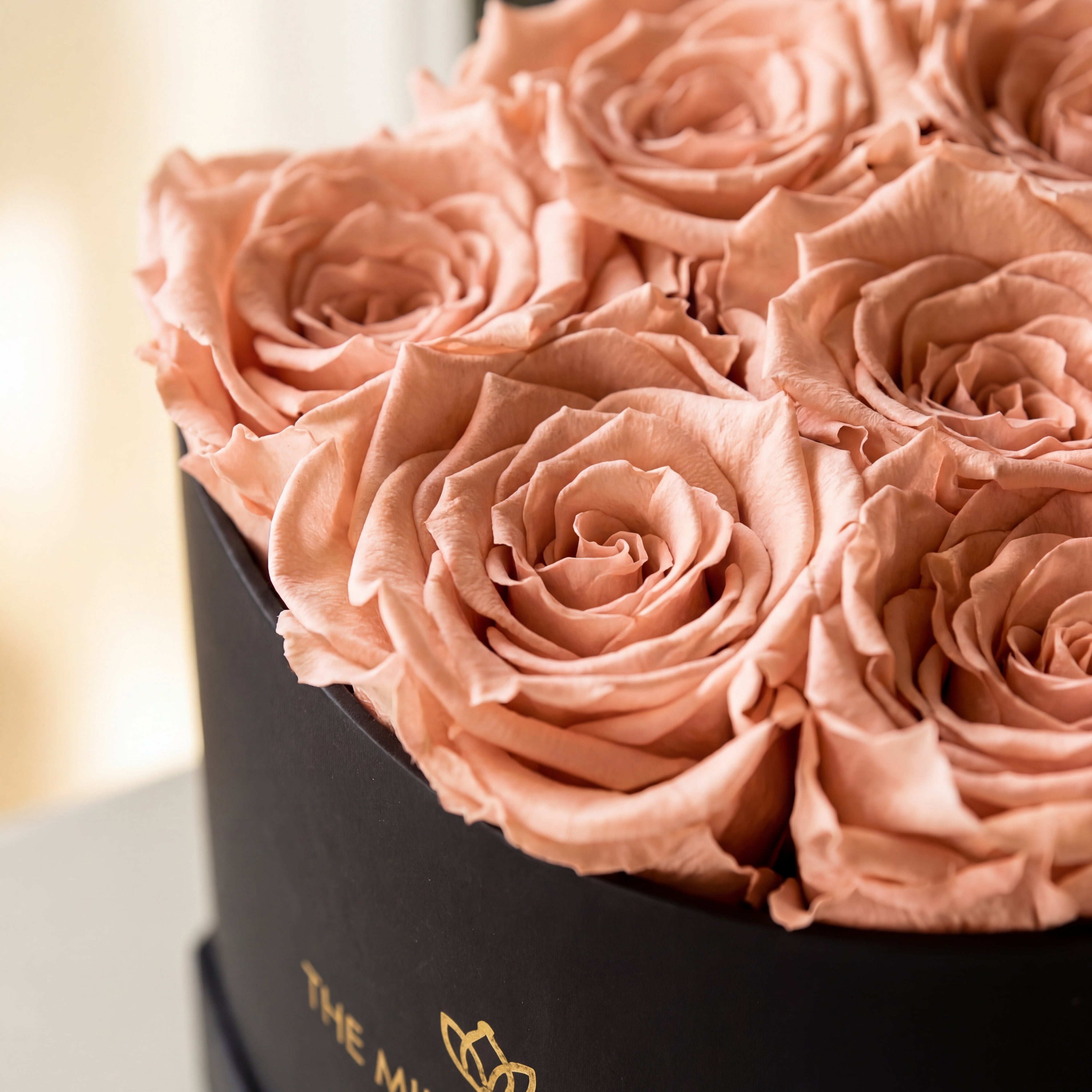 Baby Heart Black Box | Peach Roses