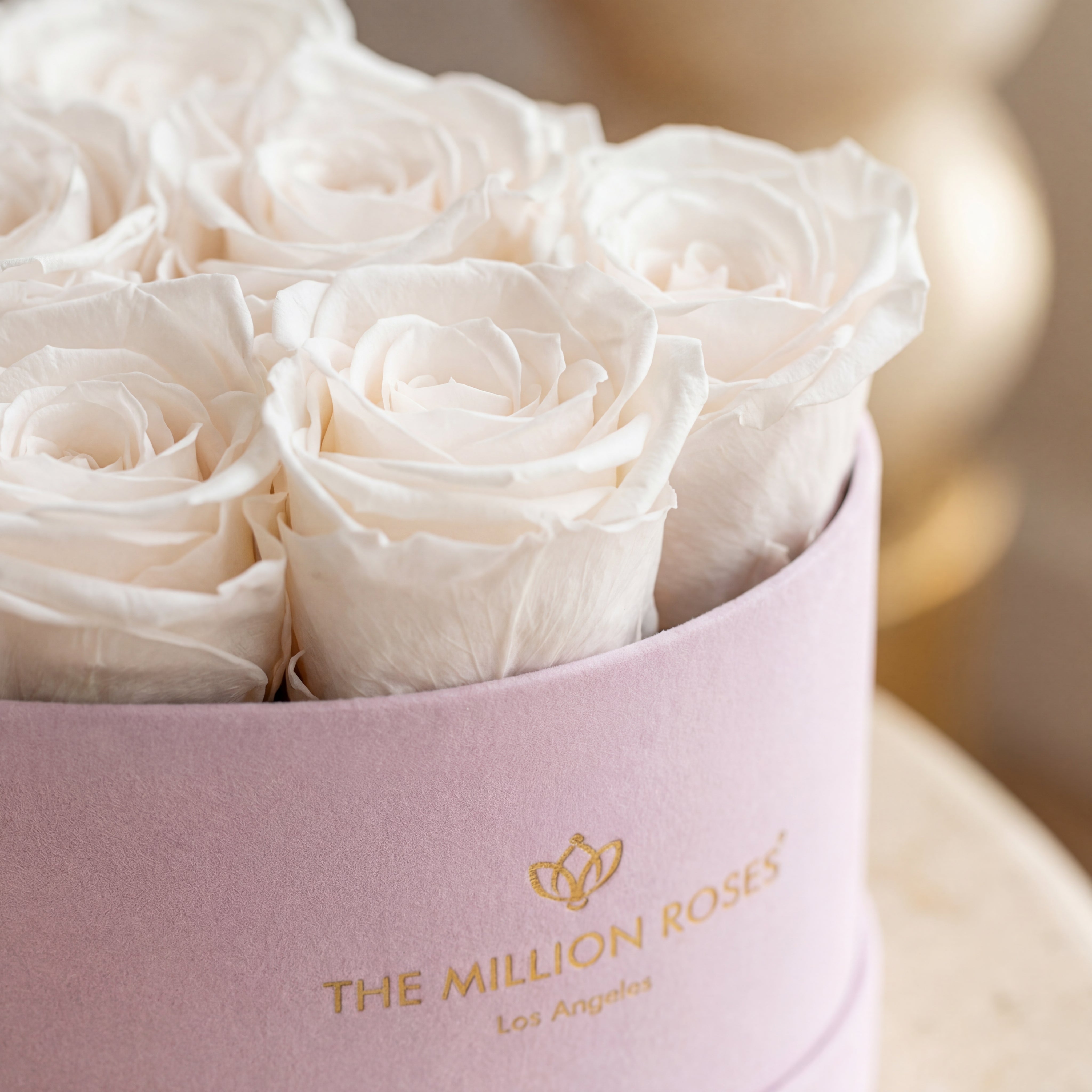 Baby Herz hellrosa Box | Weiße Rosen