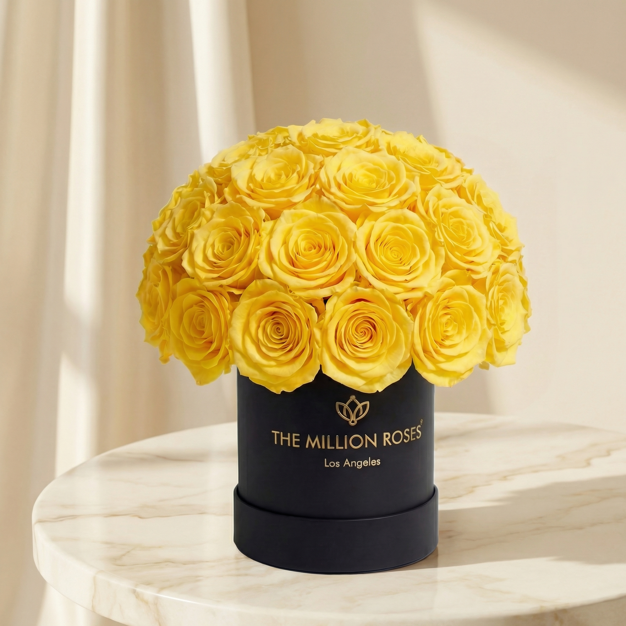 Essence Black Superdome Box | Yellow Roses