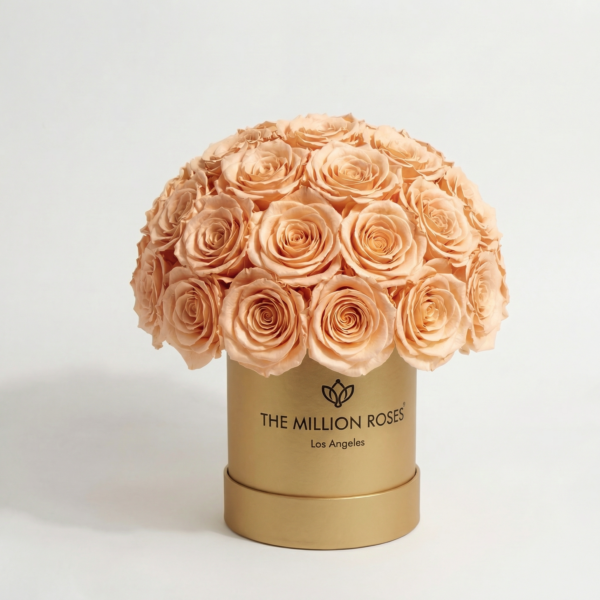 Basic Gold Superdome Box | Peach Roses
