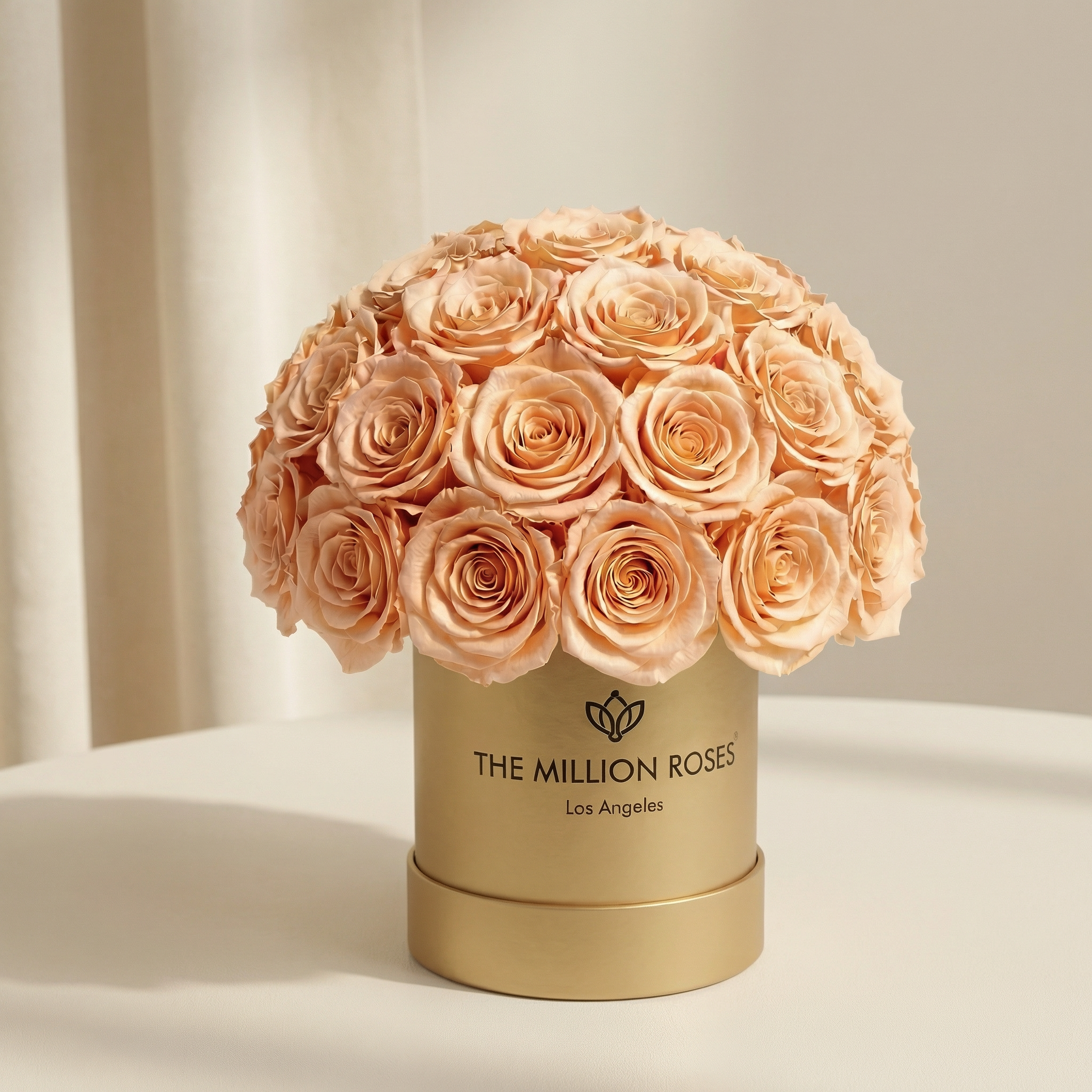 Basic Gold Superdome Box | Peach Roses