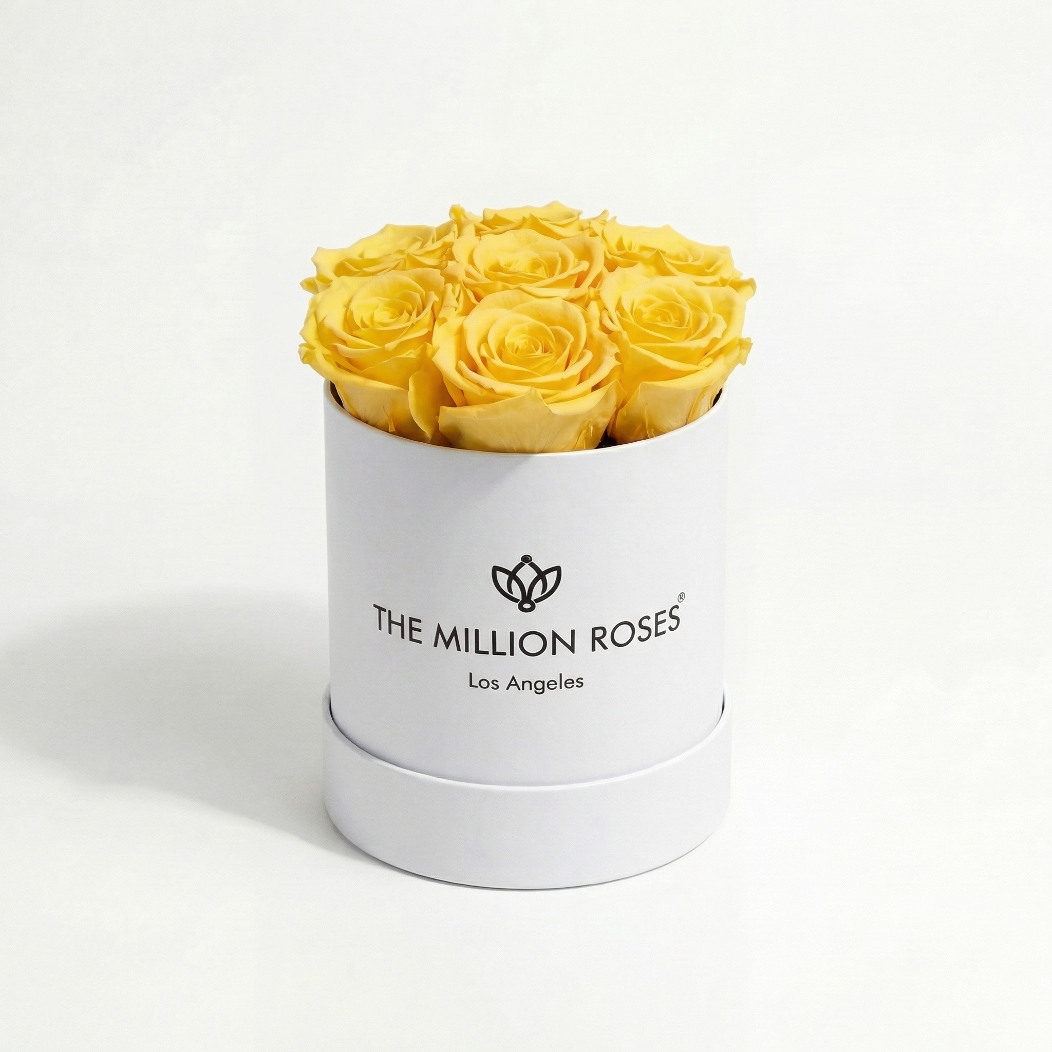 Basic White Box | Yellow Roses