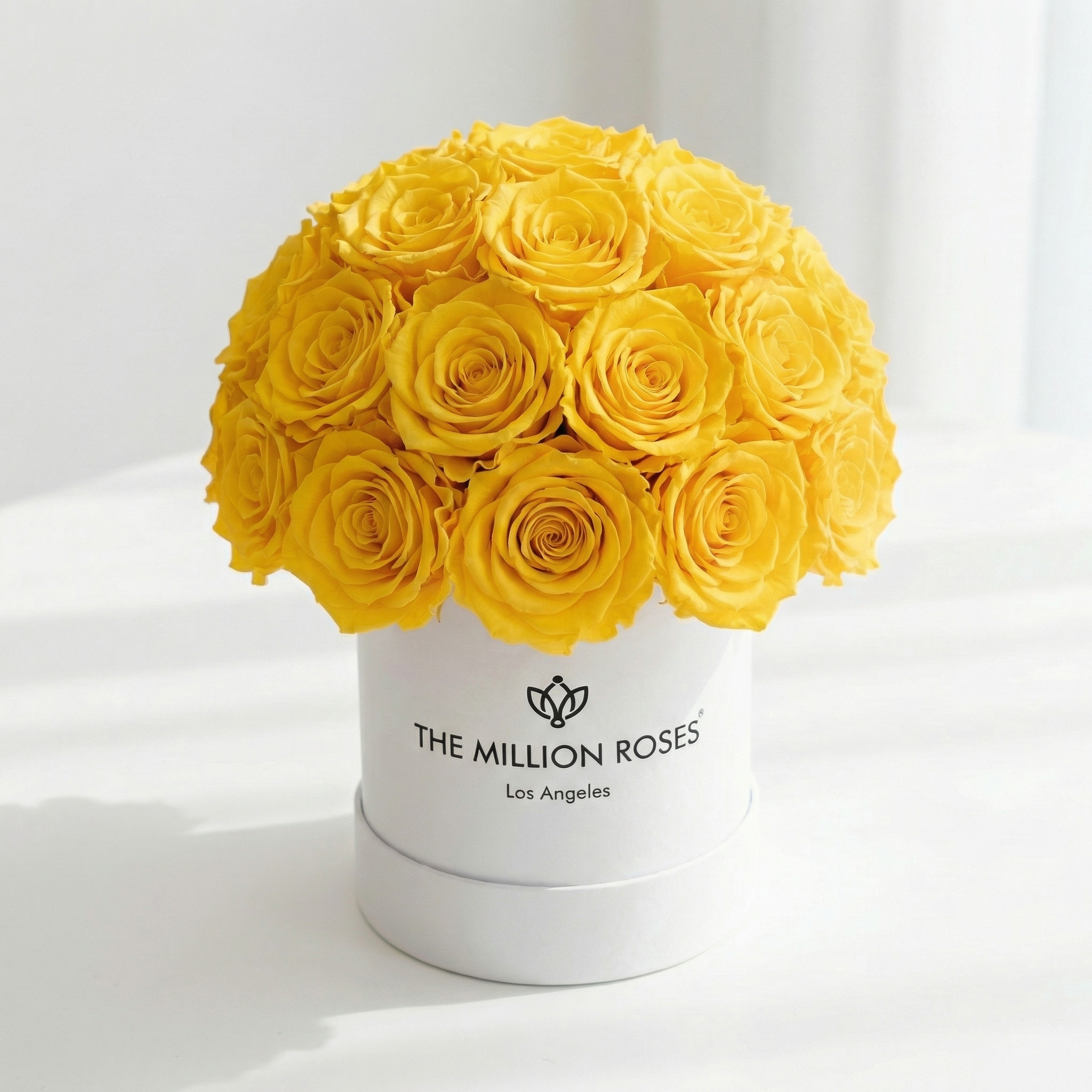 Essence White Superdome Box | Yellow Roses
