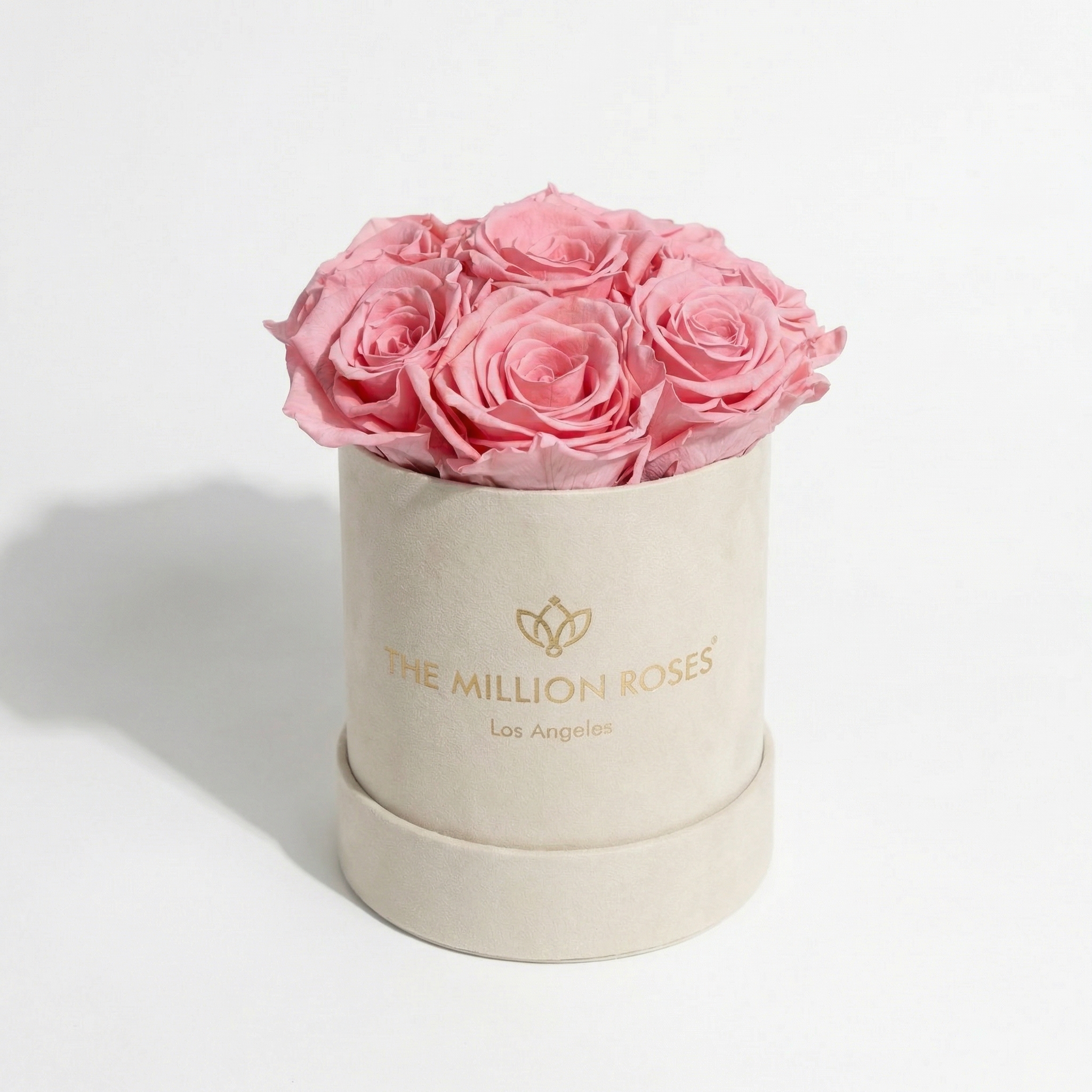 Scatola Basic in pelle scamosciata beige | Rose rosa chiaro