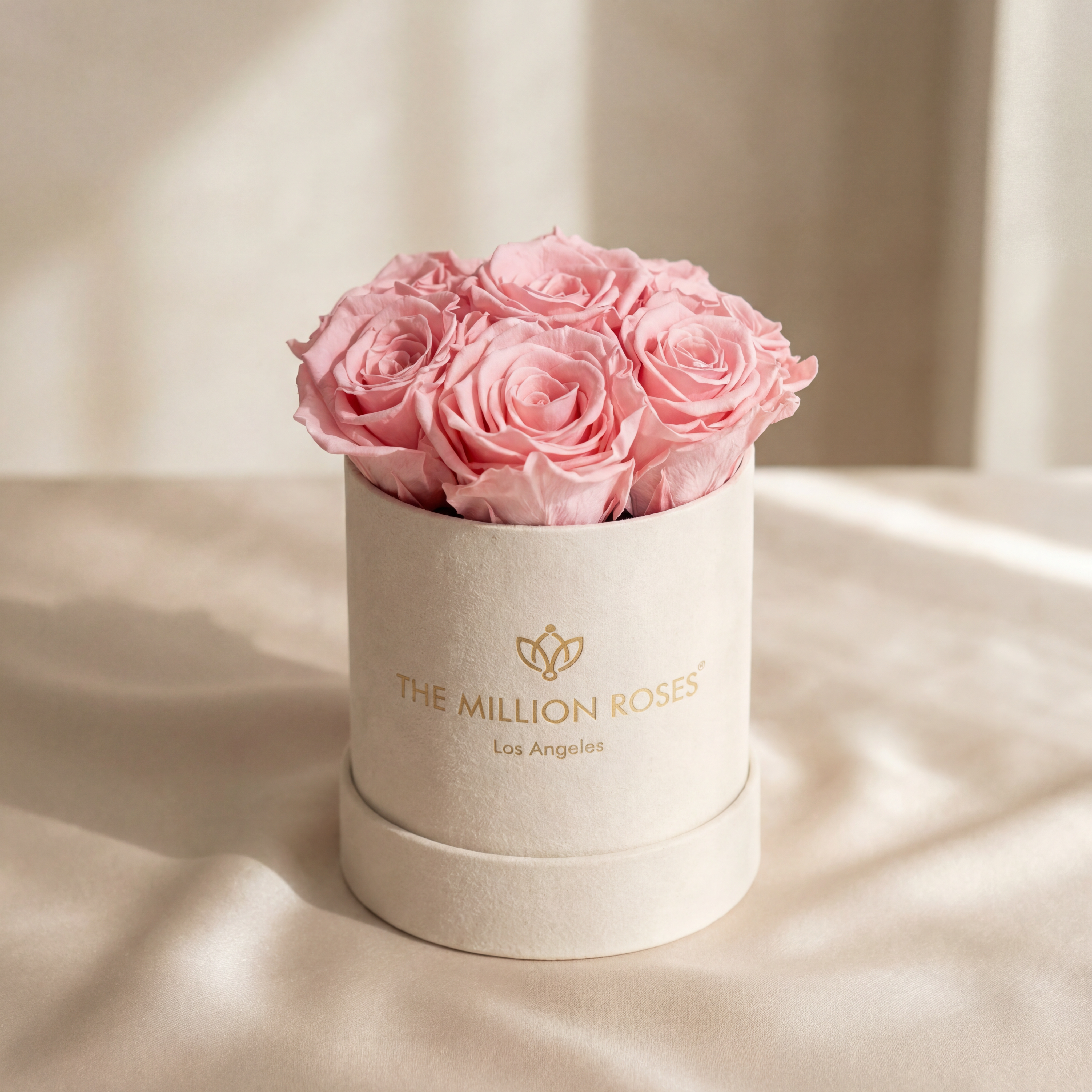 Scatola Basic in pelle scamosciata beige | Rose rosa chiaro