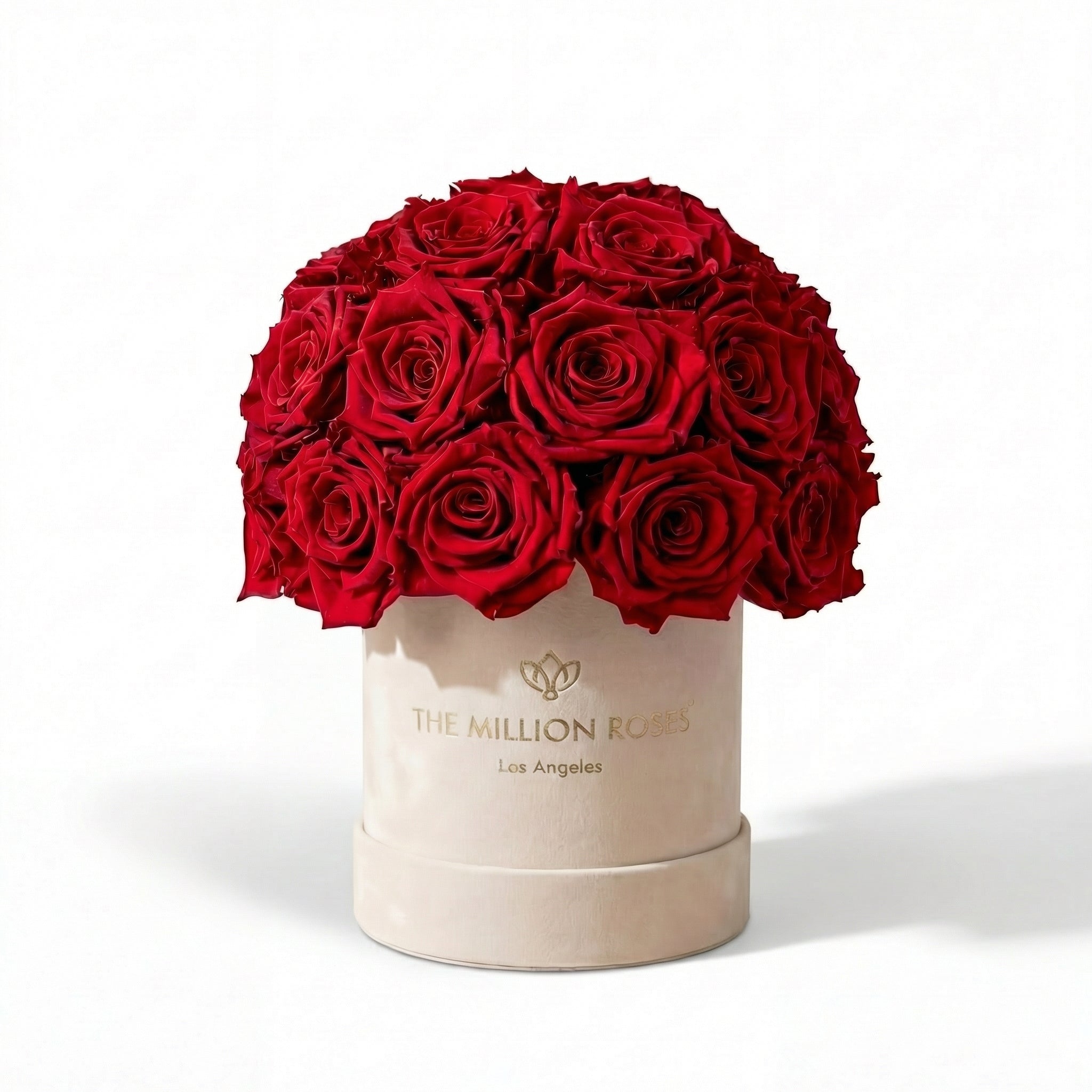 Basic Beige Suede Superdome Box | Red Roses