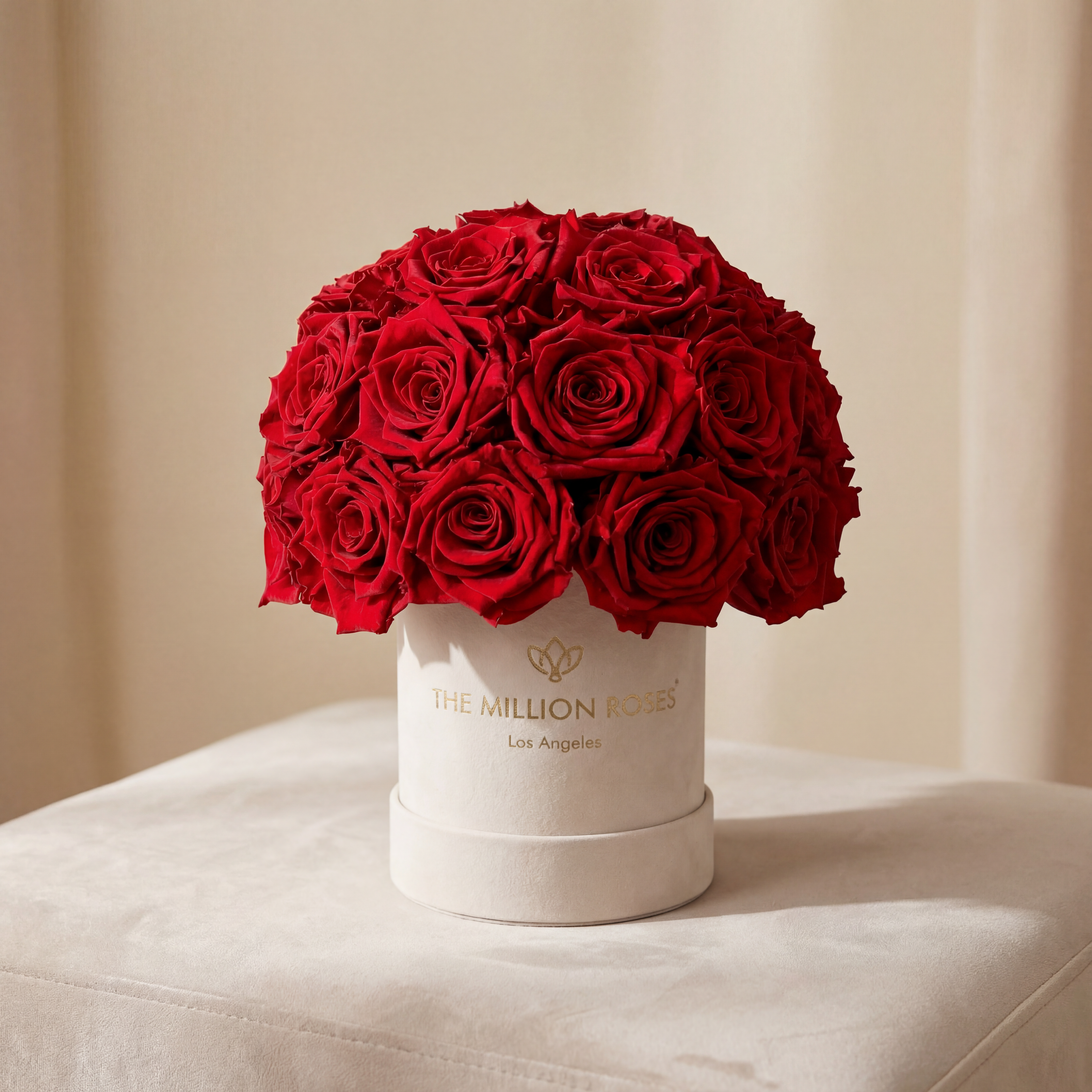 Basic Beige Suede Superdome Box | Red Roses