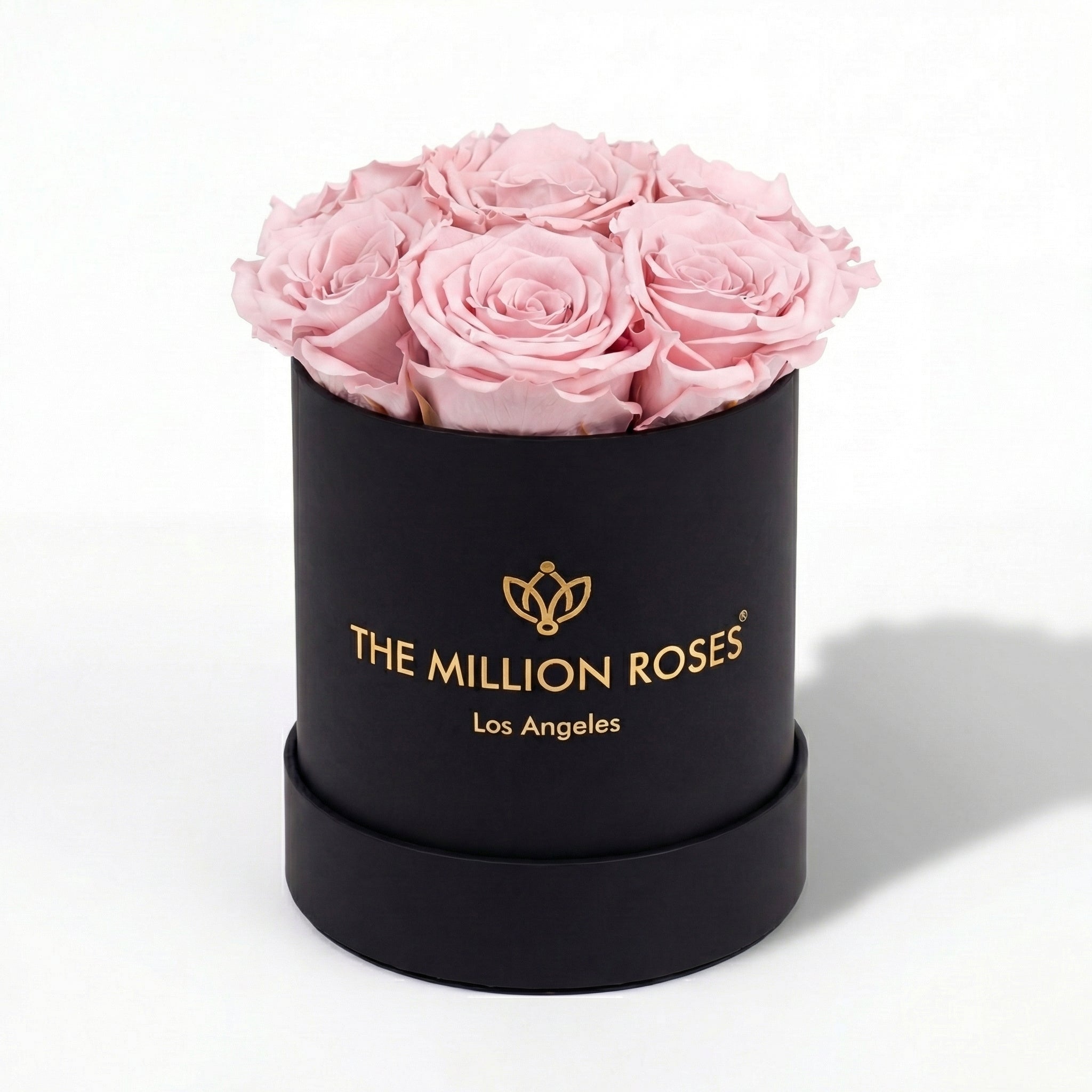 Basic Black Box | Light Pink Roses